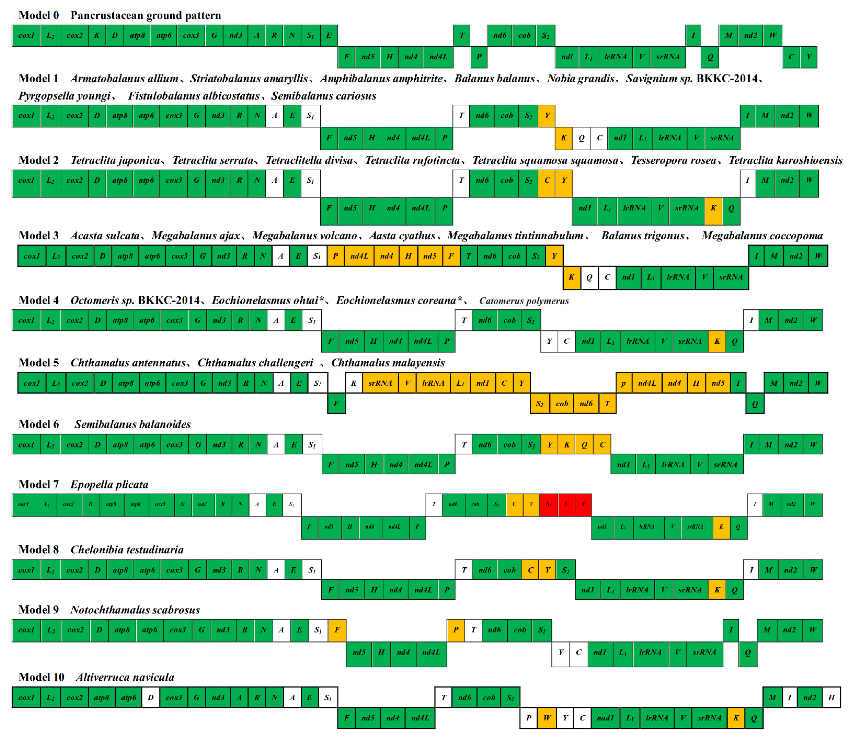 Diversity 15 00117 g003 Diversity 15 00117 g003