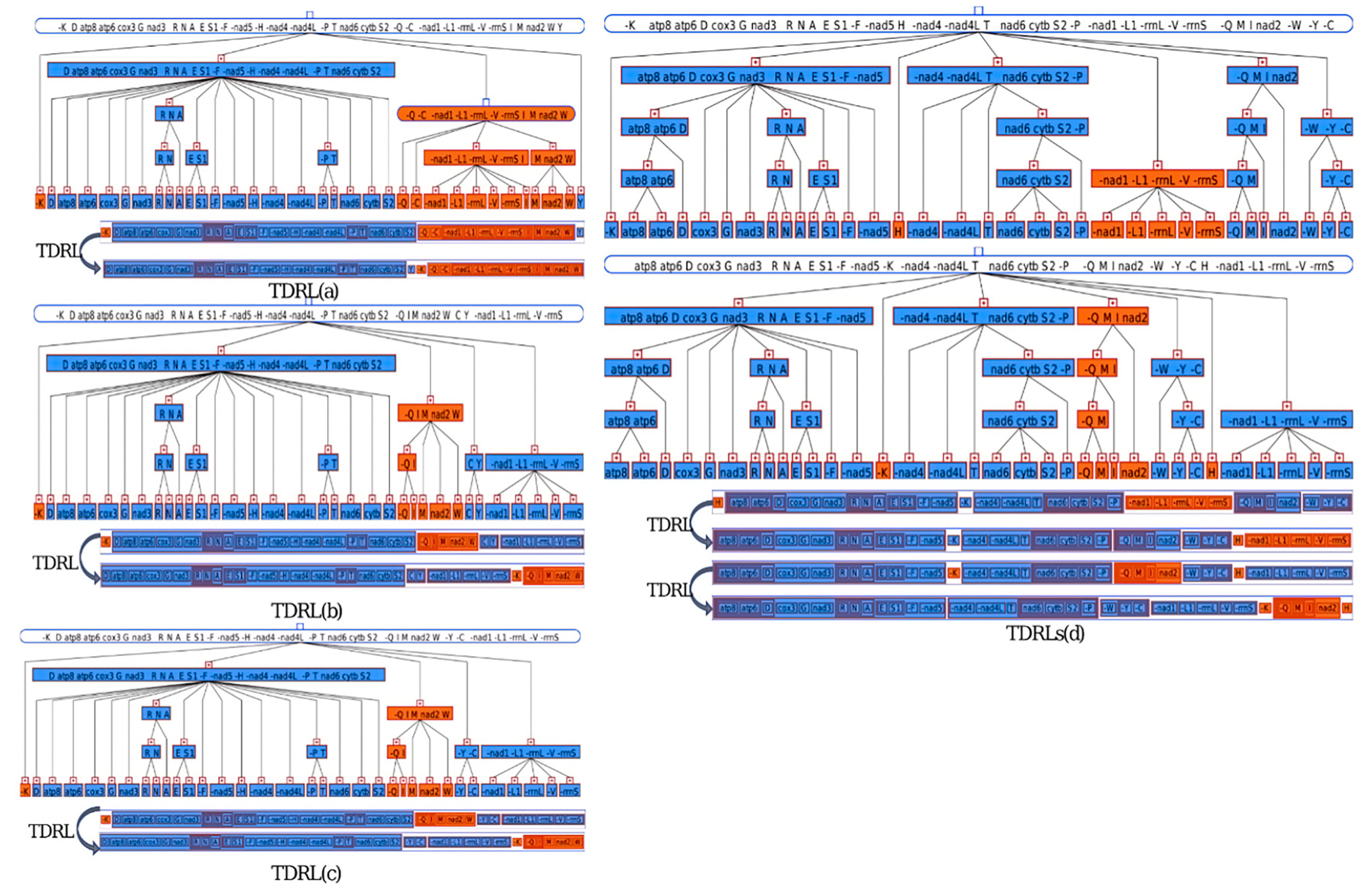 Diversity 15 00117 g005 Diversity 15 00117 g005