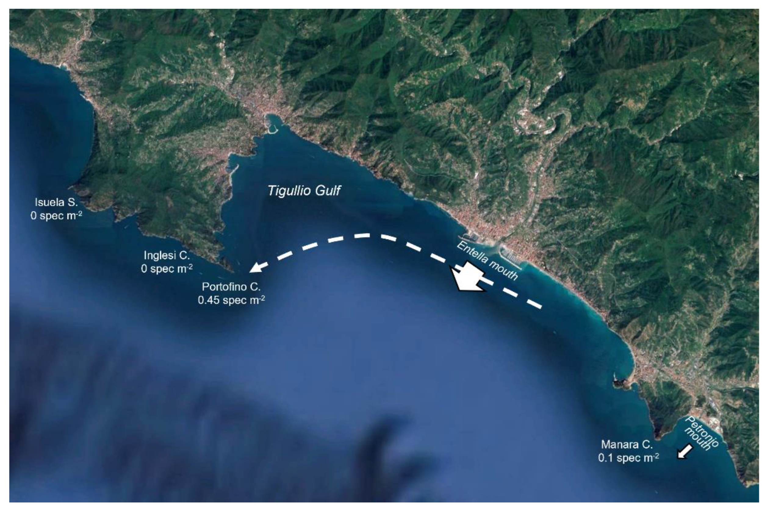 Diversity 15 00122 g009 Diversity 15 00122 g009