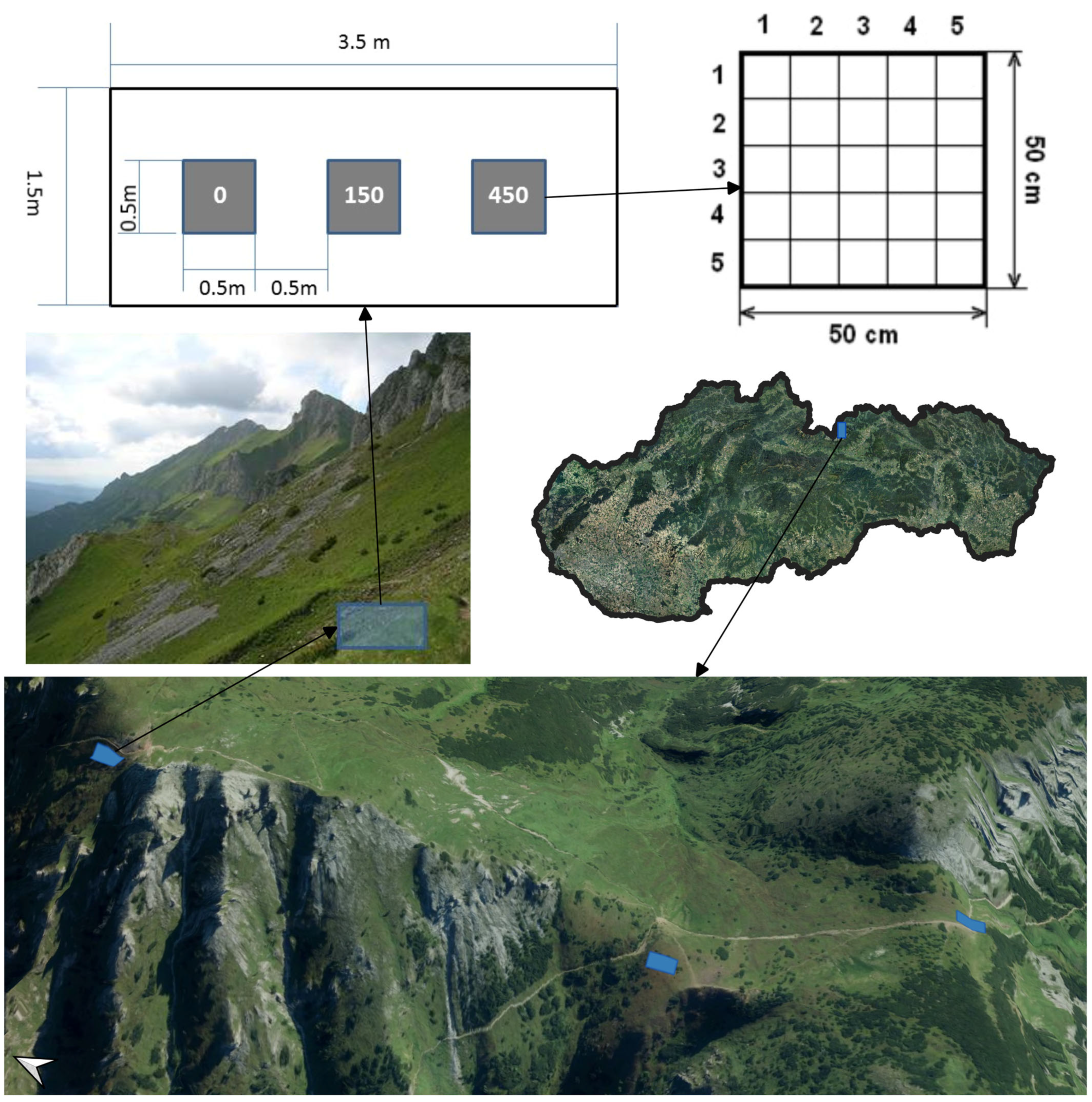 Diversity 15 00128 g001 Diversity 15 00128 g001