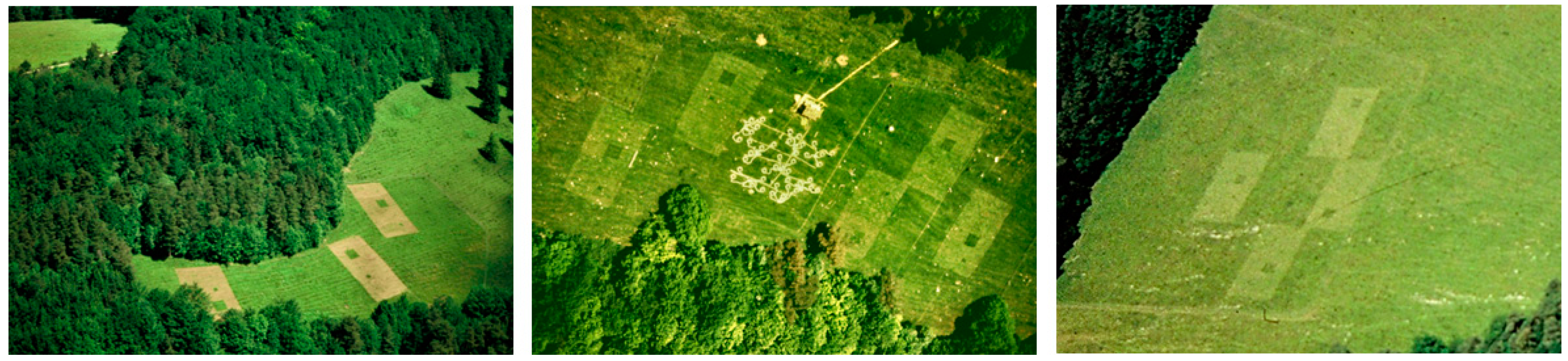 Diversity 15 00130 g001 Diversity 15 00130 g001