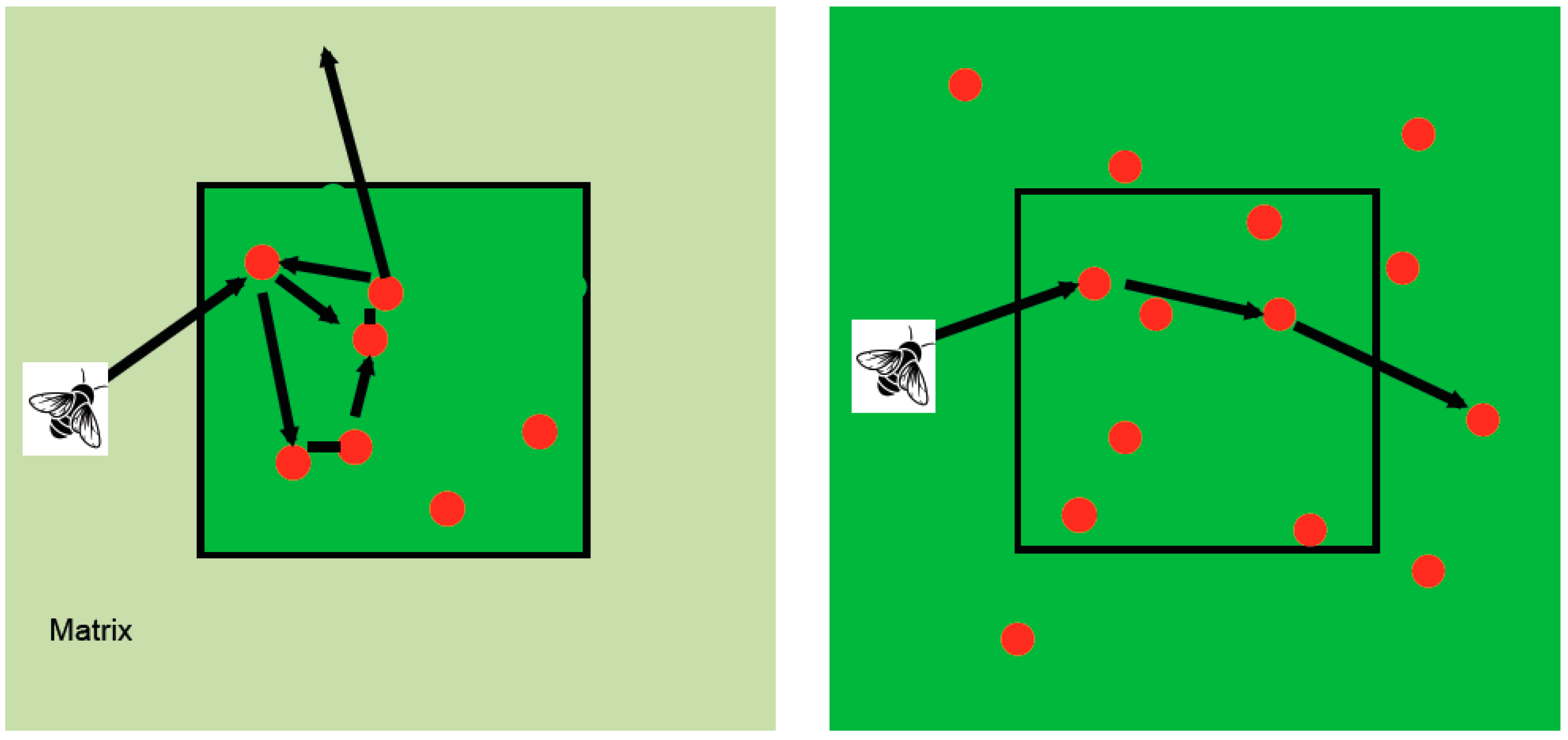 Diversity 15 00130 g007 Diversity 15 00130 g007