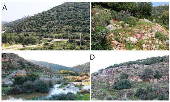 Flora and Conservation Issues in Two Protected Areas in Palestine: Wadi ...