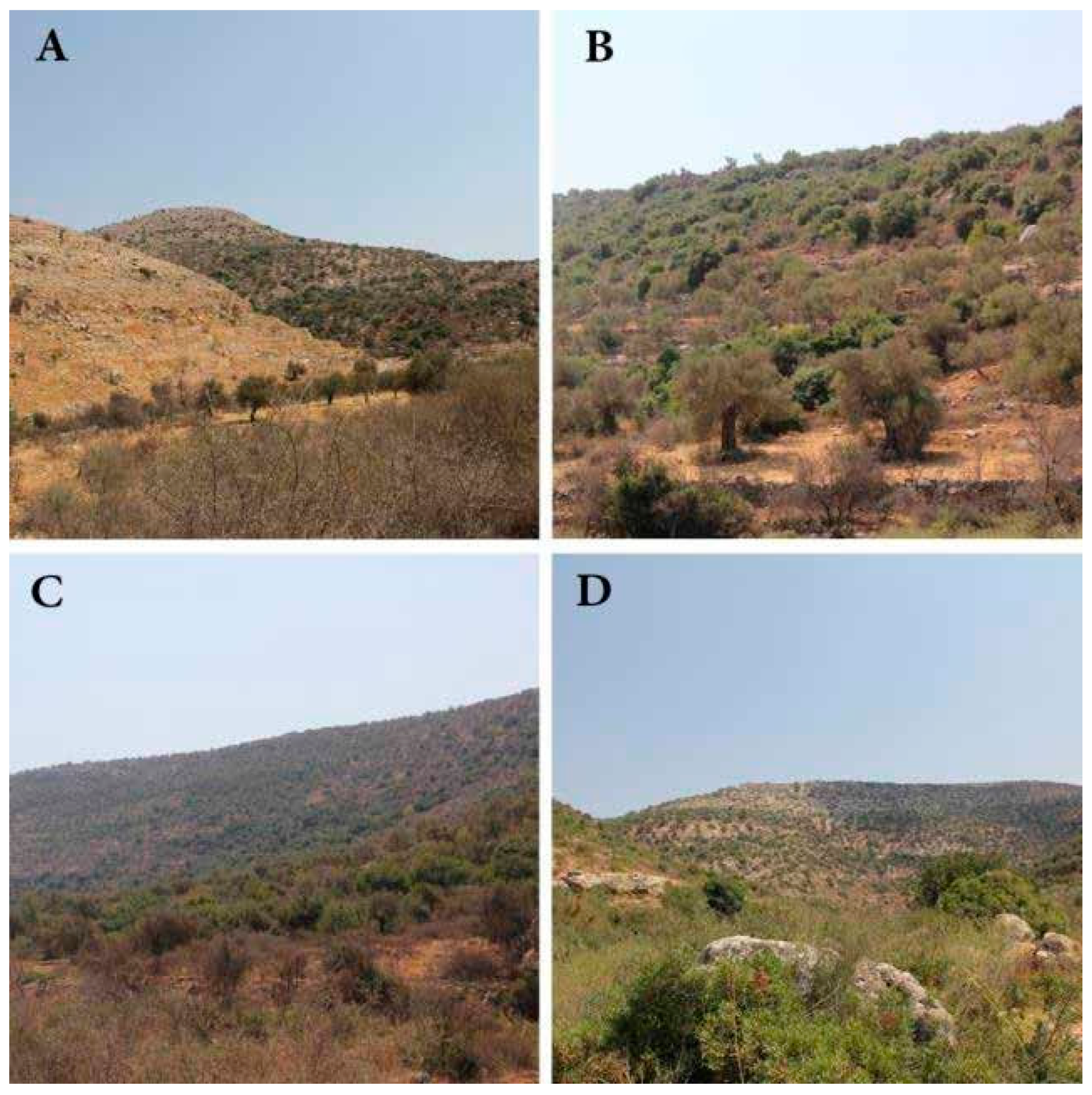 Diversity 15 00142 g003 Diversity 15 00142 g003