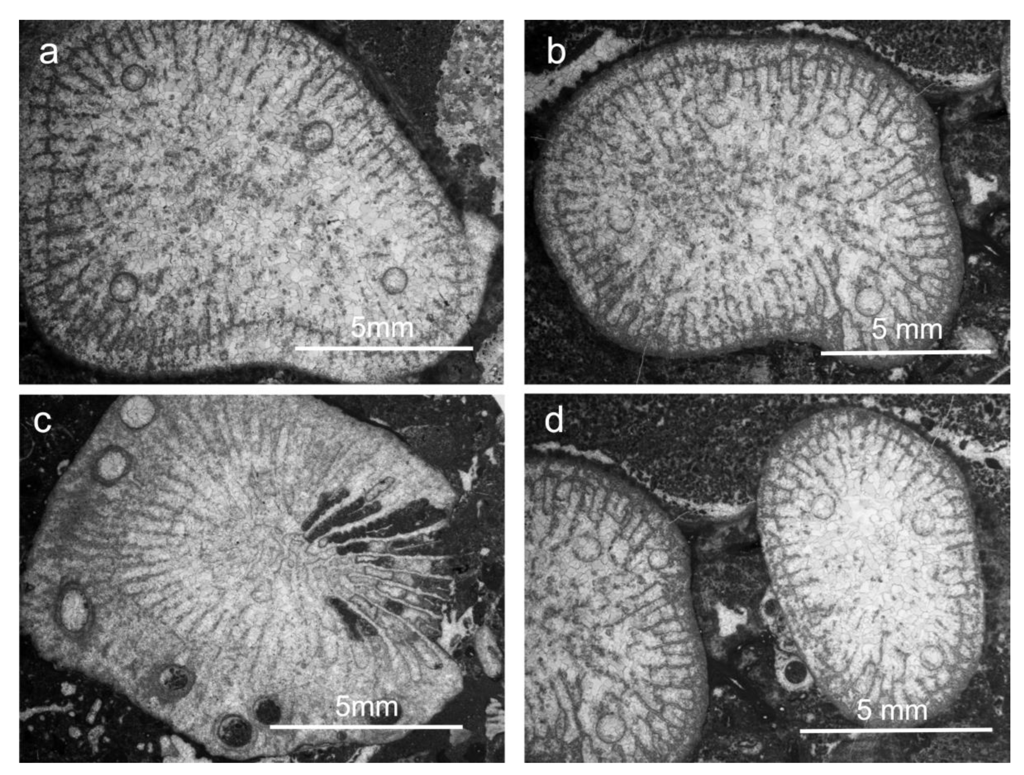 Diversity 15 00147 g002 Diversity 15 00147 g002