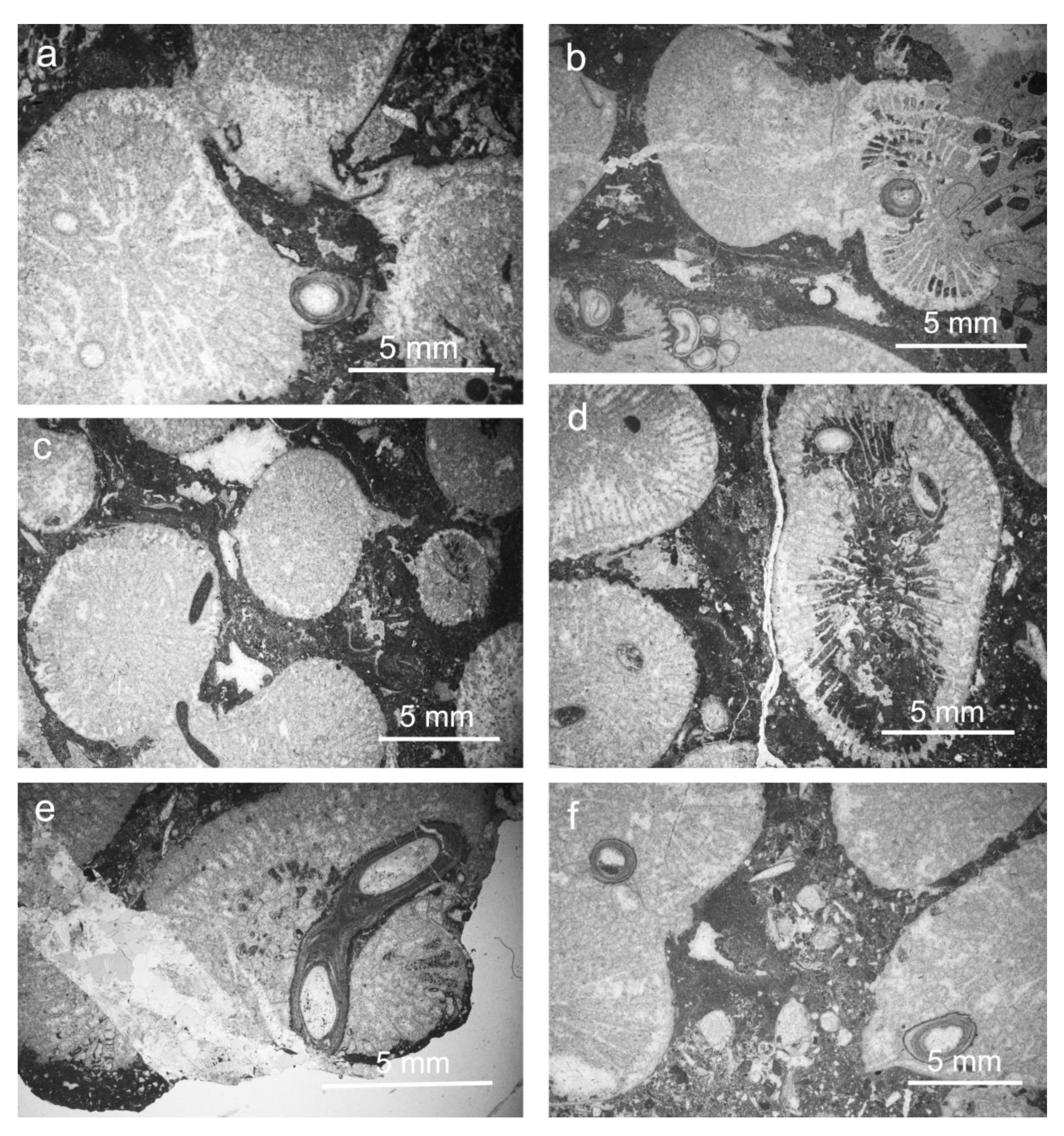 Diversity 15 00147 g003 Diversity 15 00147 g003