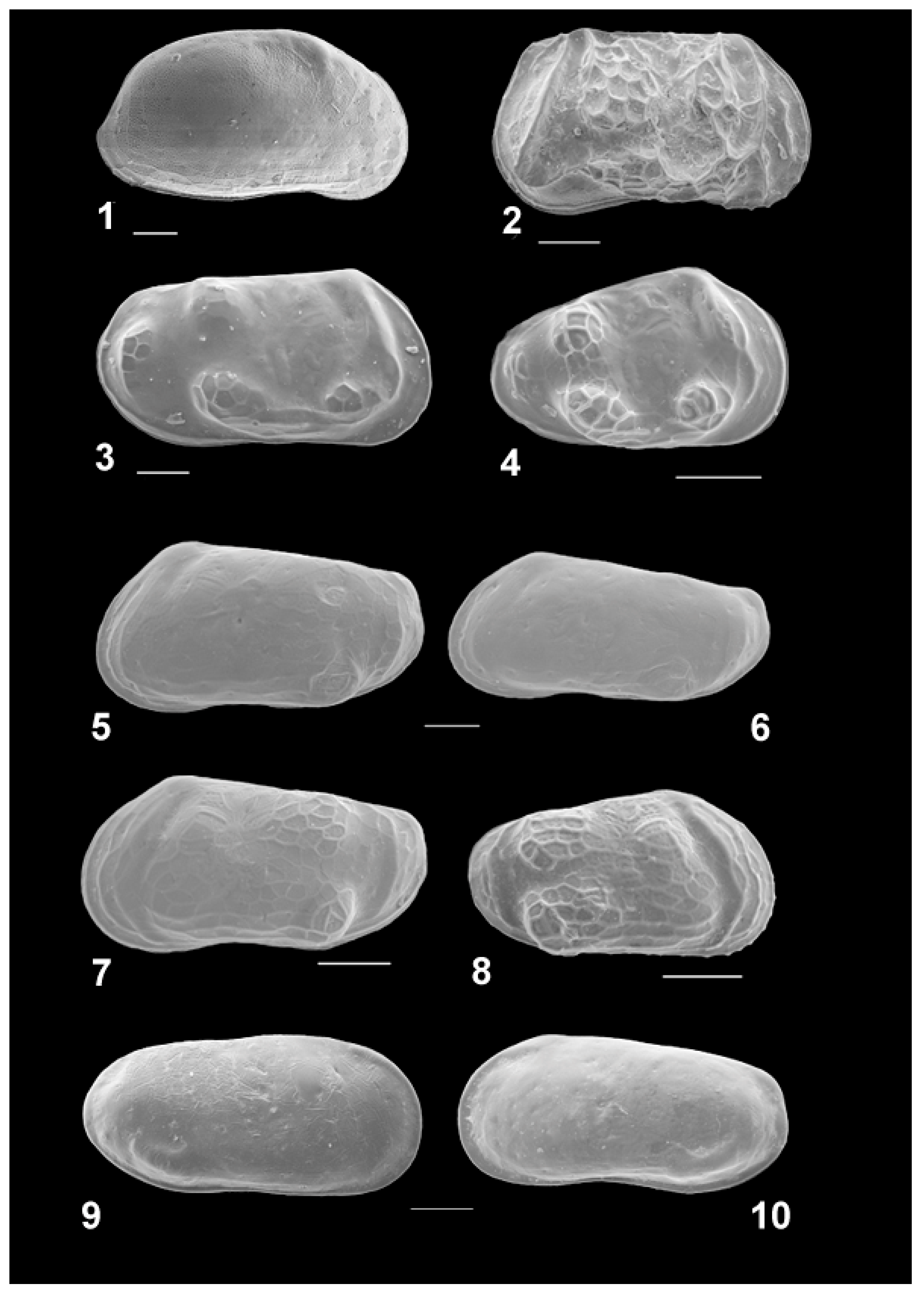 Diversity 15 00150 g007 Diversity 15 00150 g007