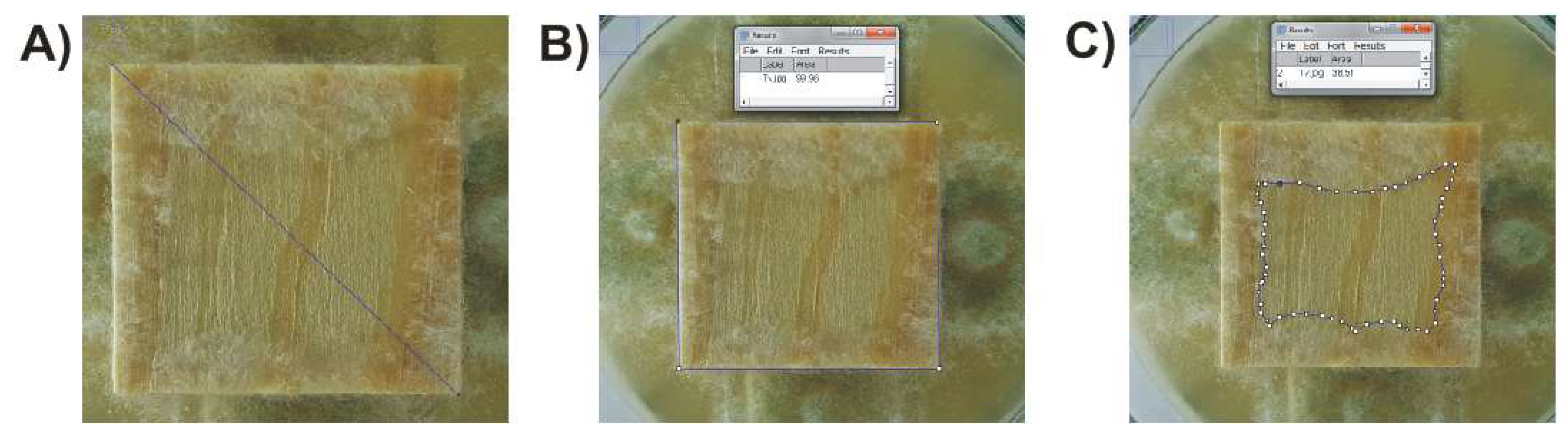 Diversity 15 00152 g002 Diversity 15 00152 g002