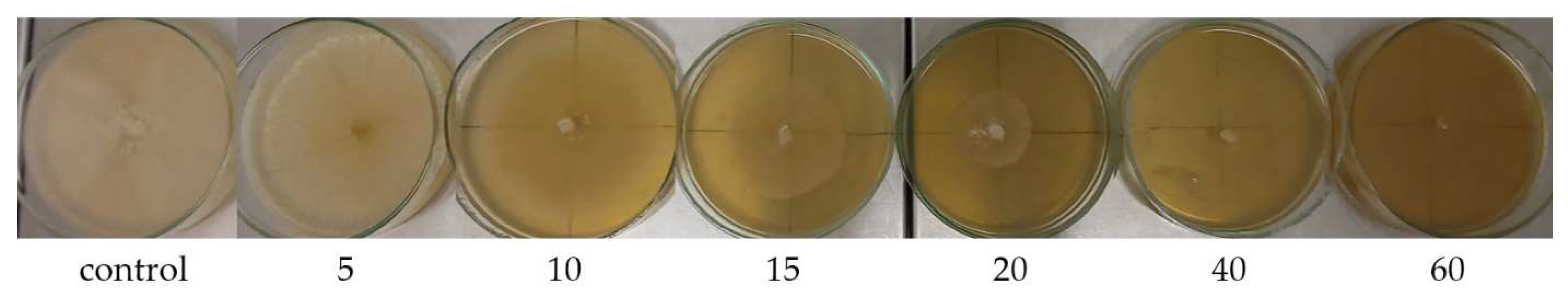 Diversity 15 00152 g004 Diversity 15 00152 g004