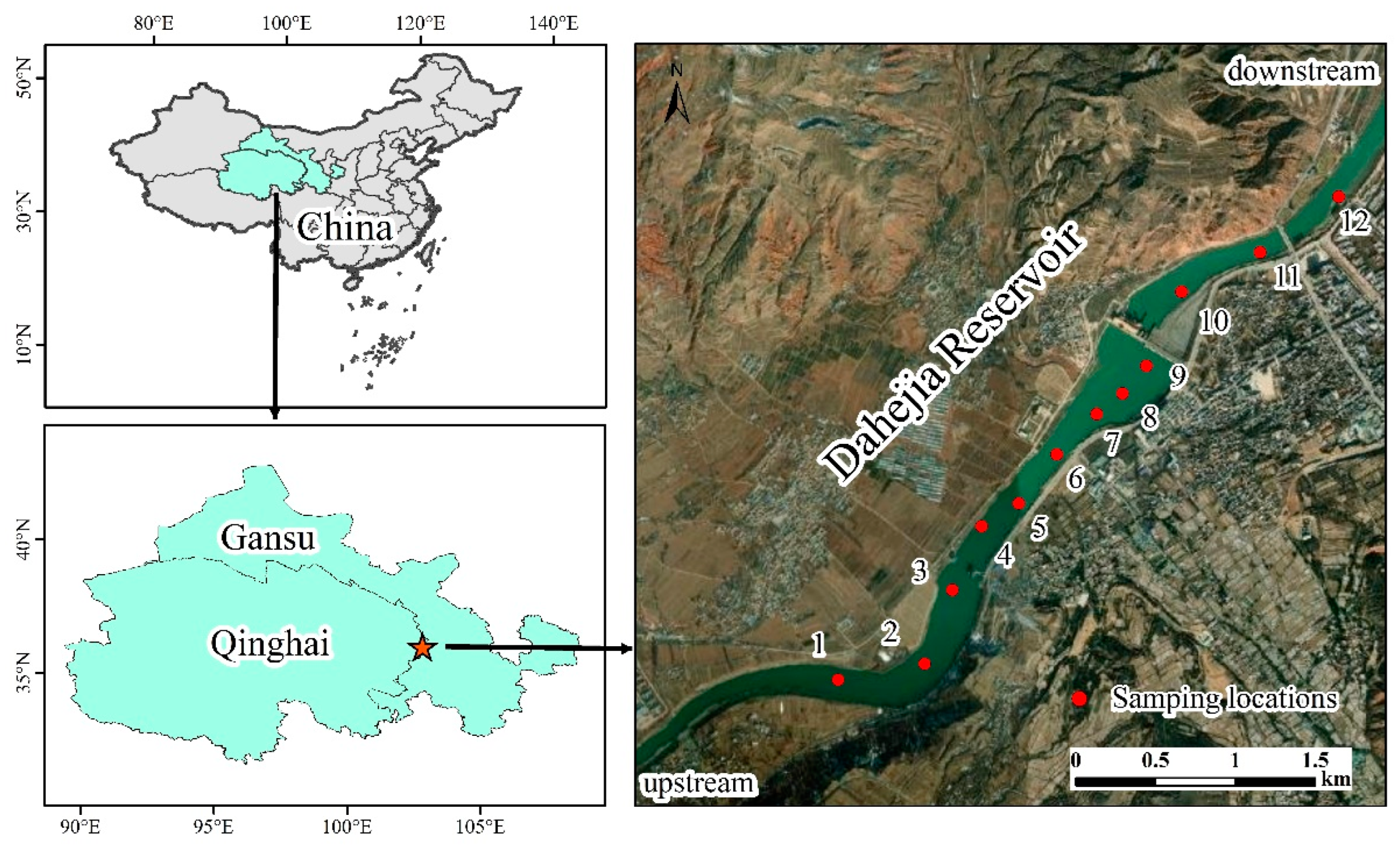 Diversity 15 00154 g001
