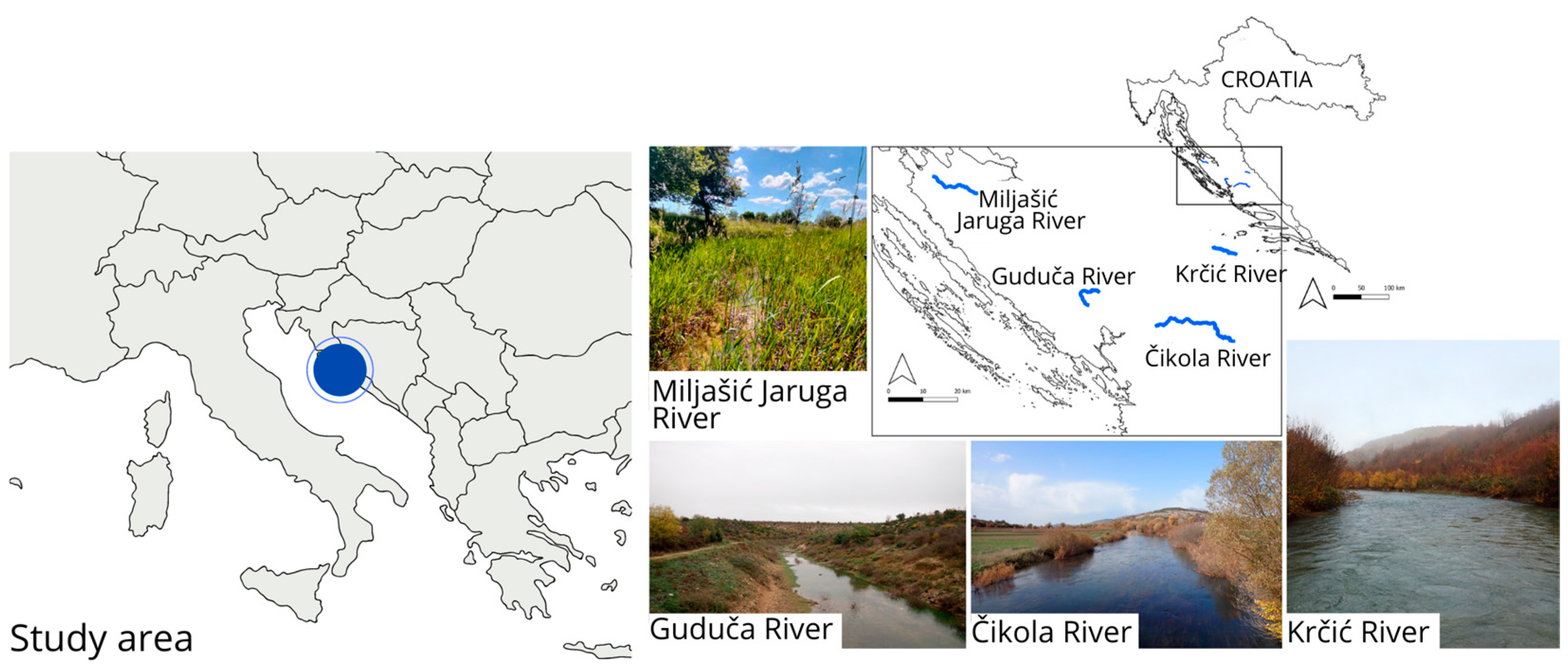 Diversity 15 00155 g001 Diversity 15 00155 g001