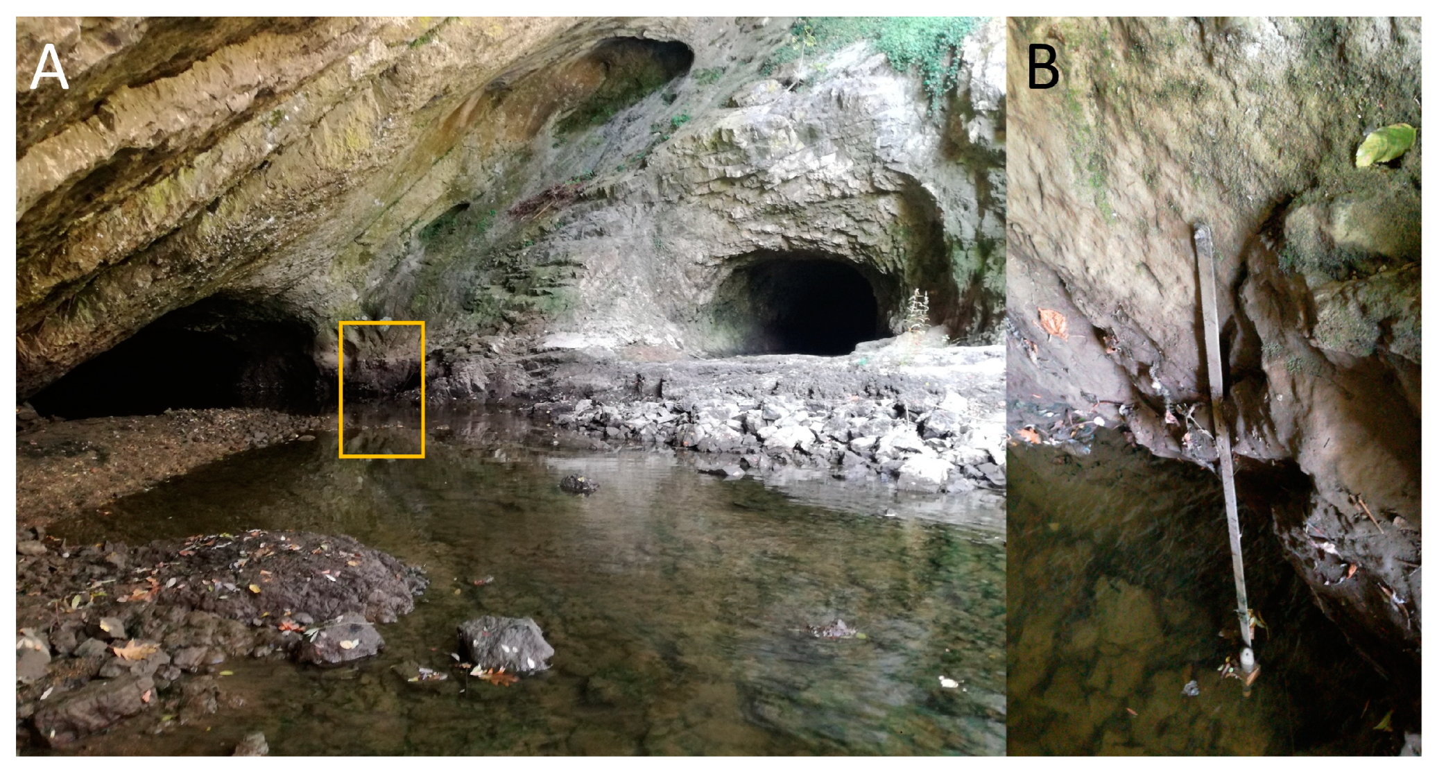 Diversity 15 00156 g001 Diversity 15 00156 g001