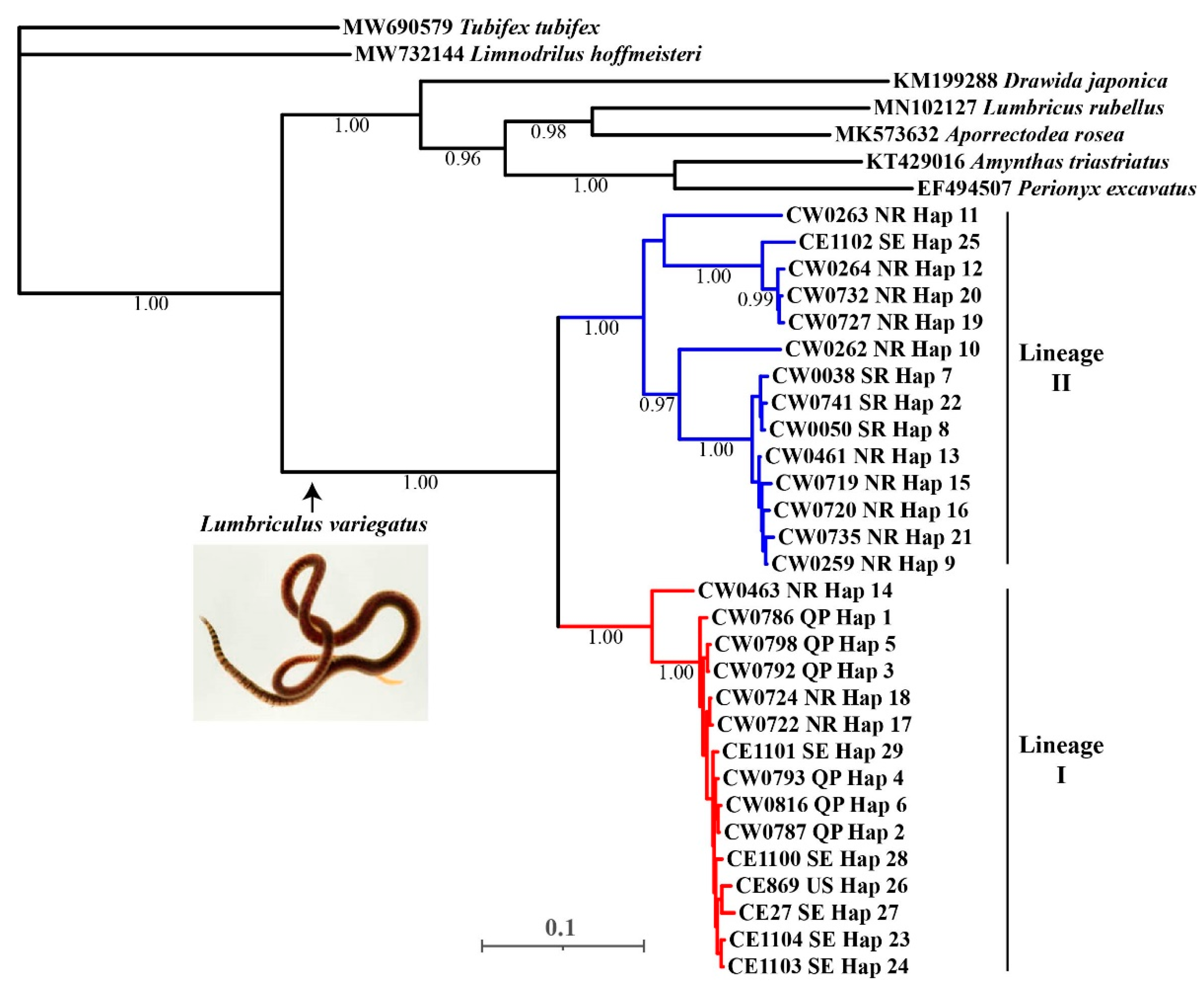 Diversity 15 00158 g002 Diversity 15 00158 g002