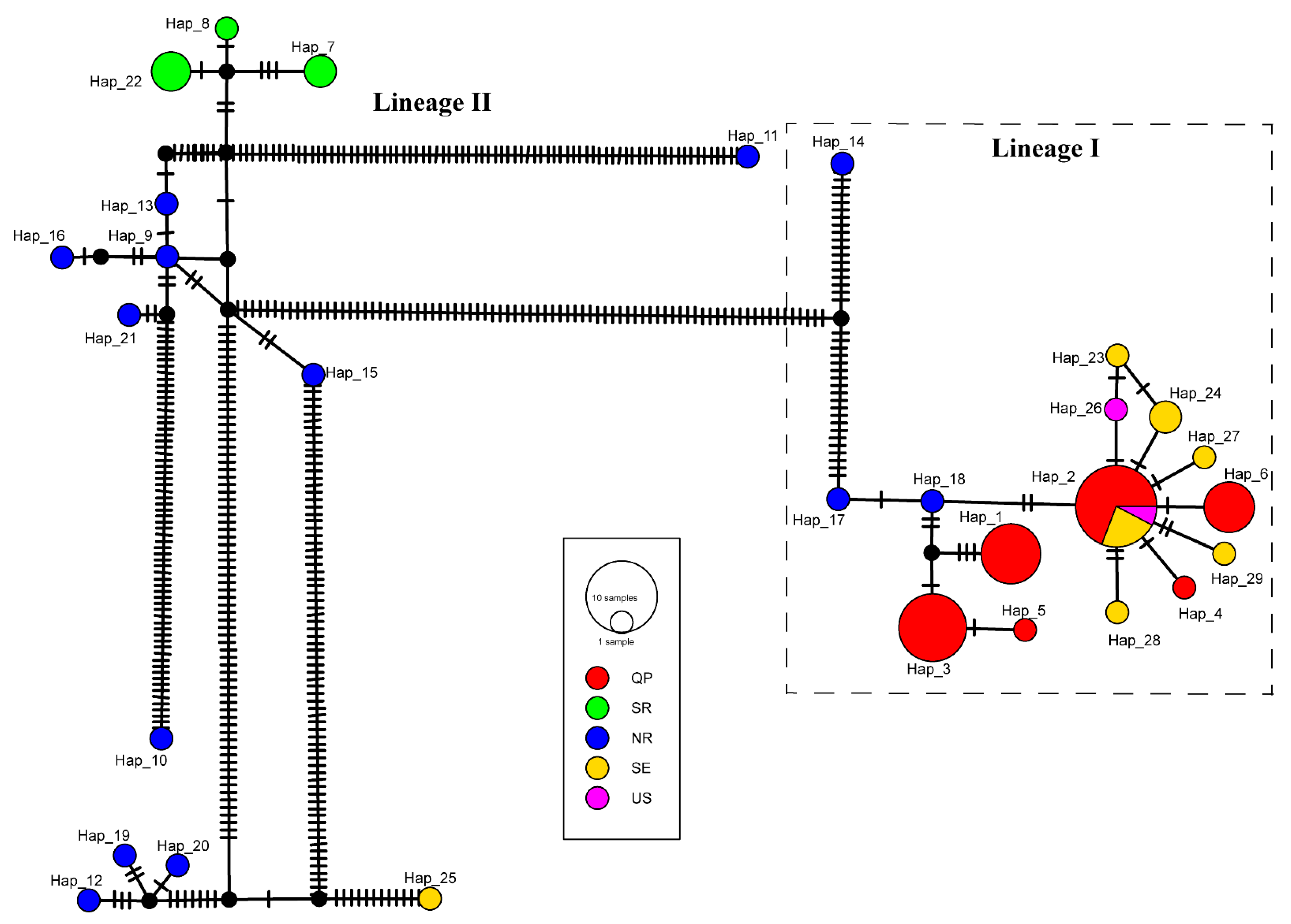 Diversity 15 00158 g003 Diversity 15 00158 g003