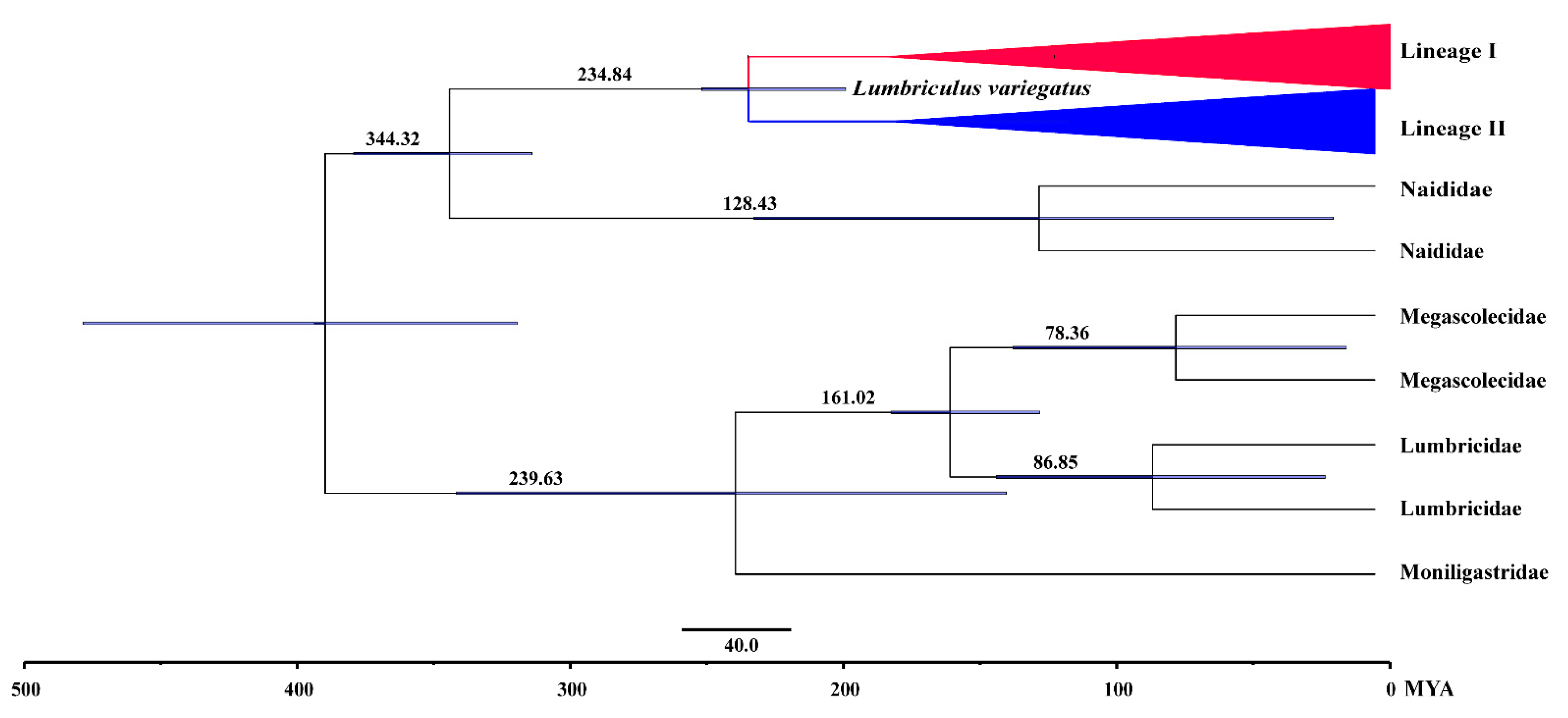 Diversity 15 00158 g004 Diversity 15 00158 g004