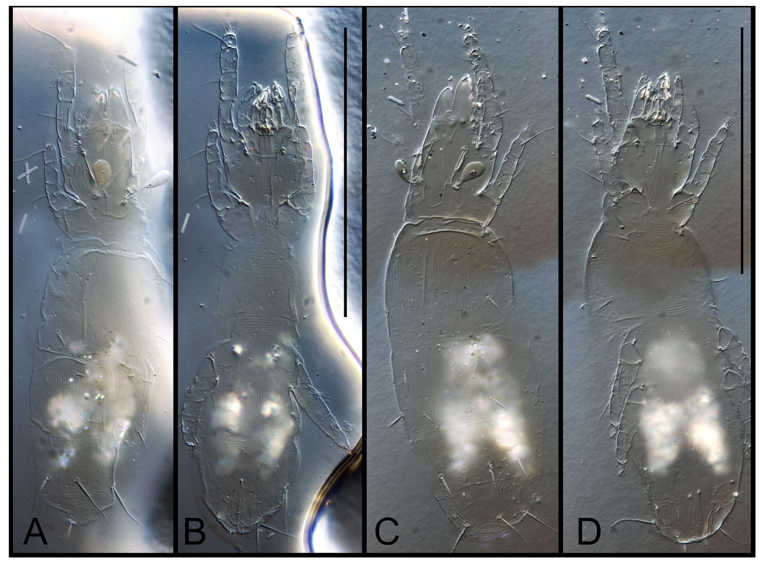 Diversity 15 00160 g005