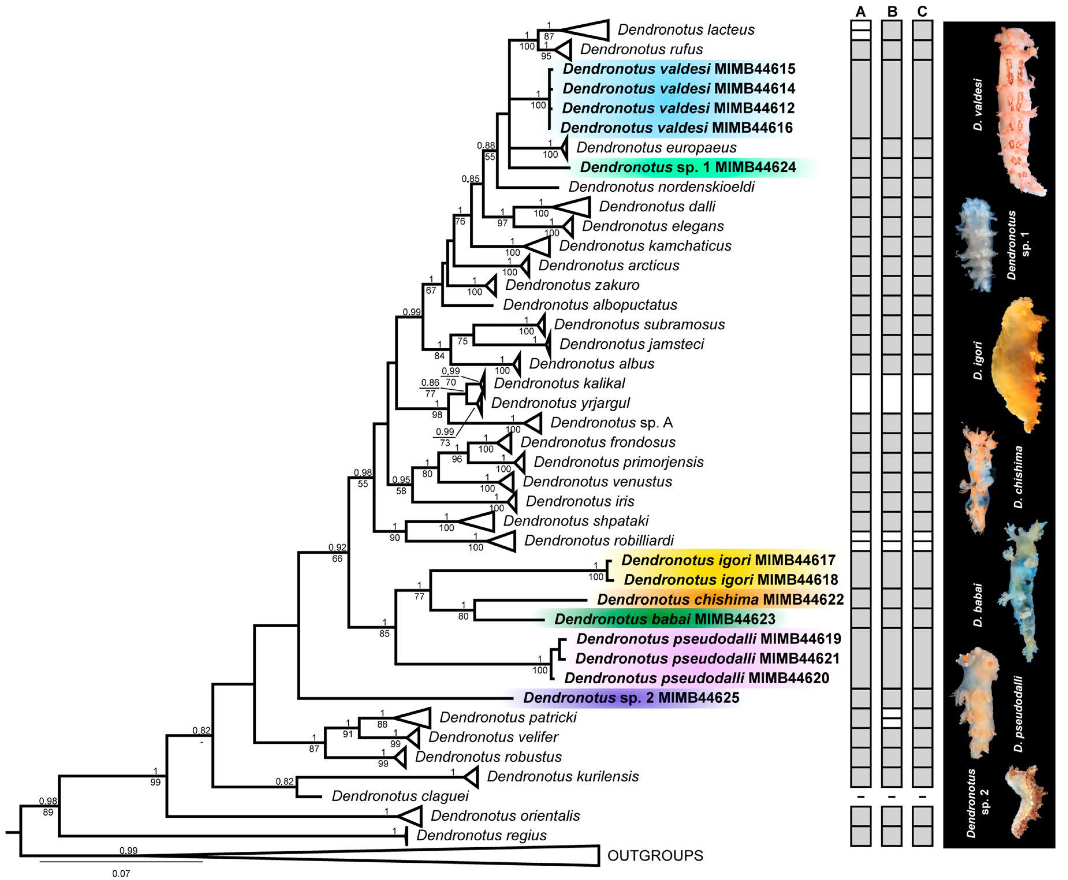 Diversity 15 00162 g010