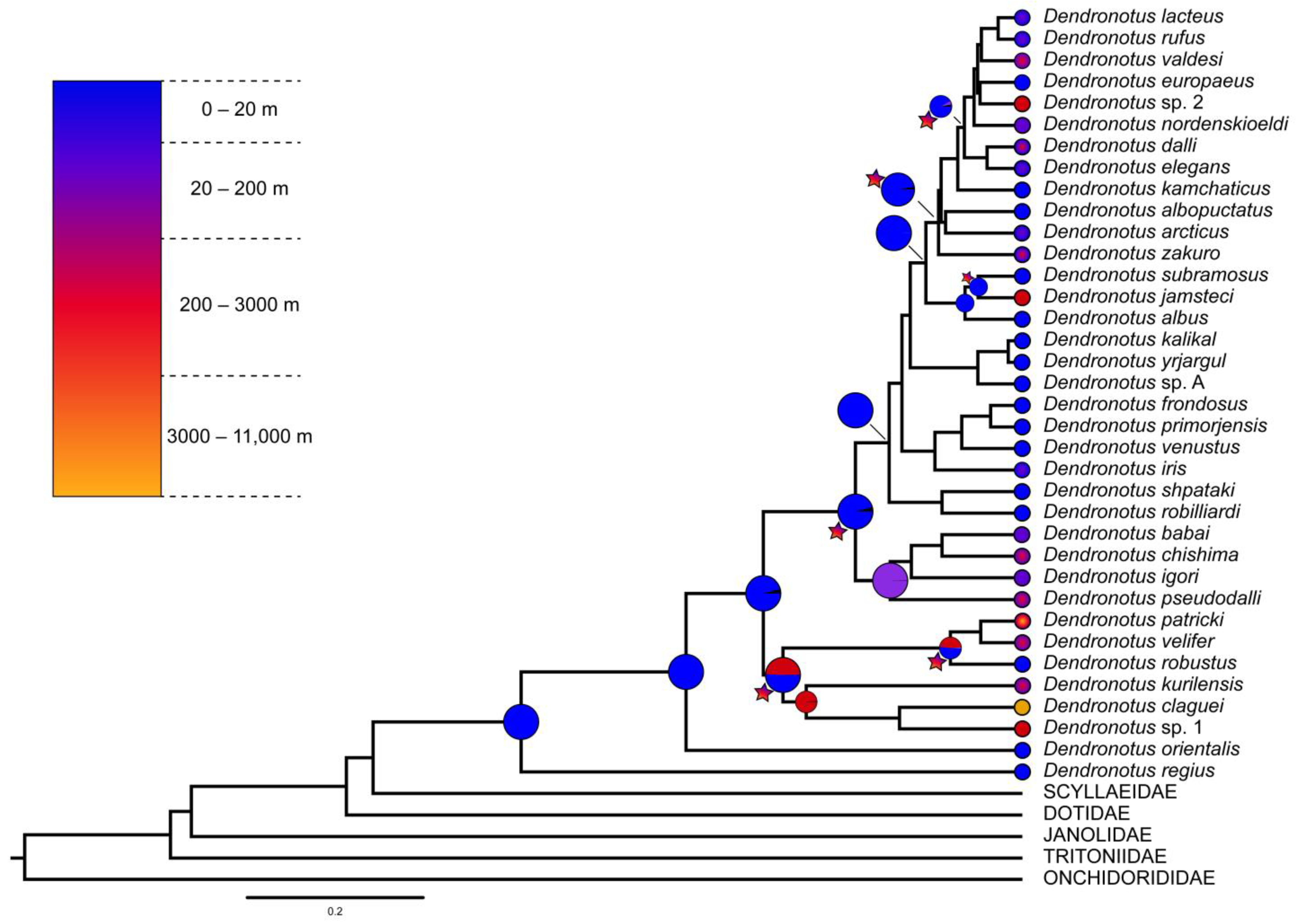 Diversity 15 00162 g011