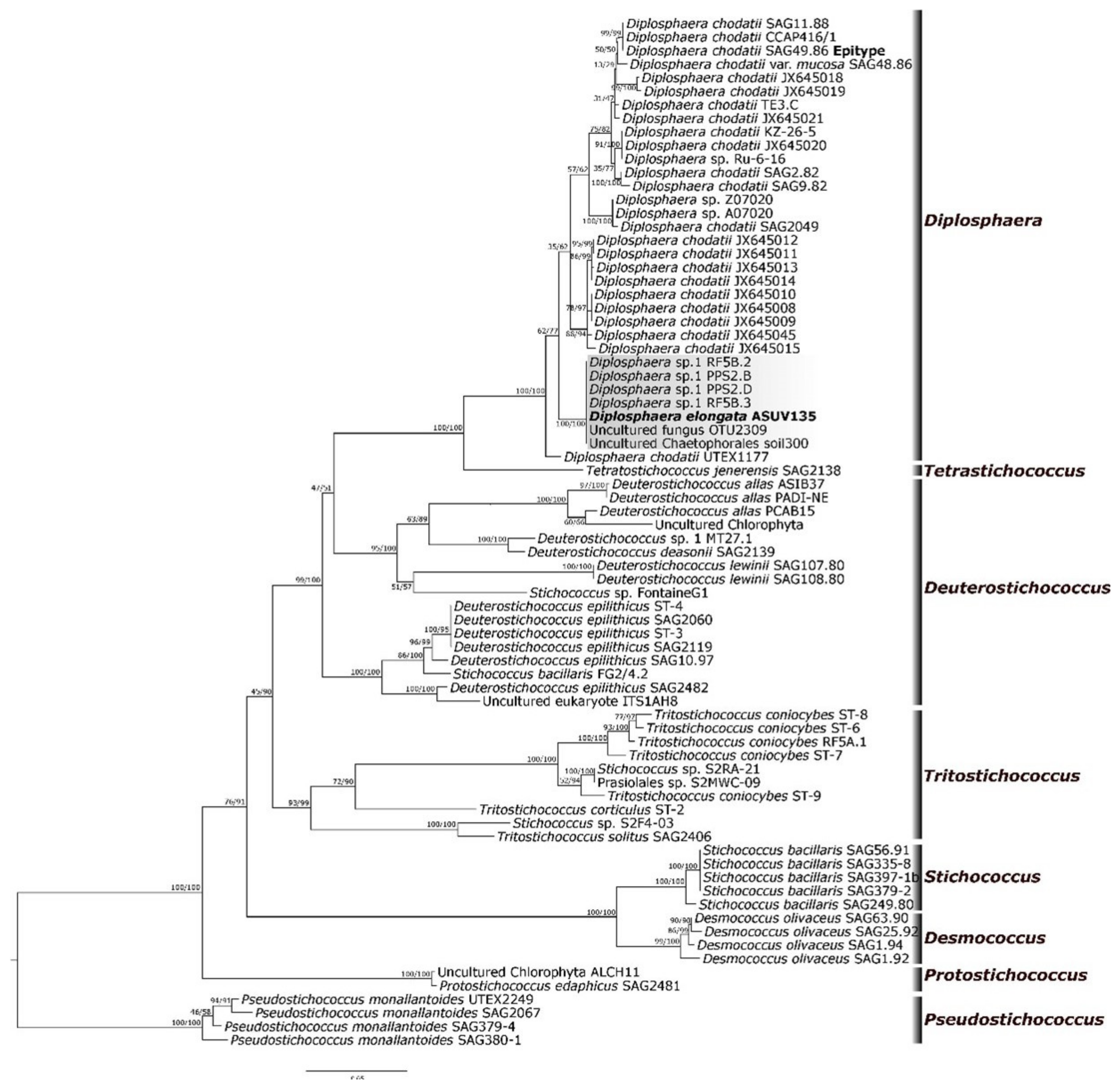 Diversity 15 00168 g003