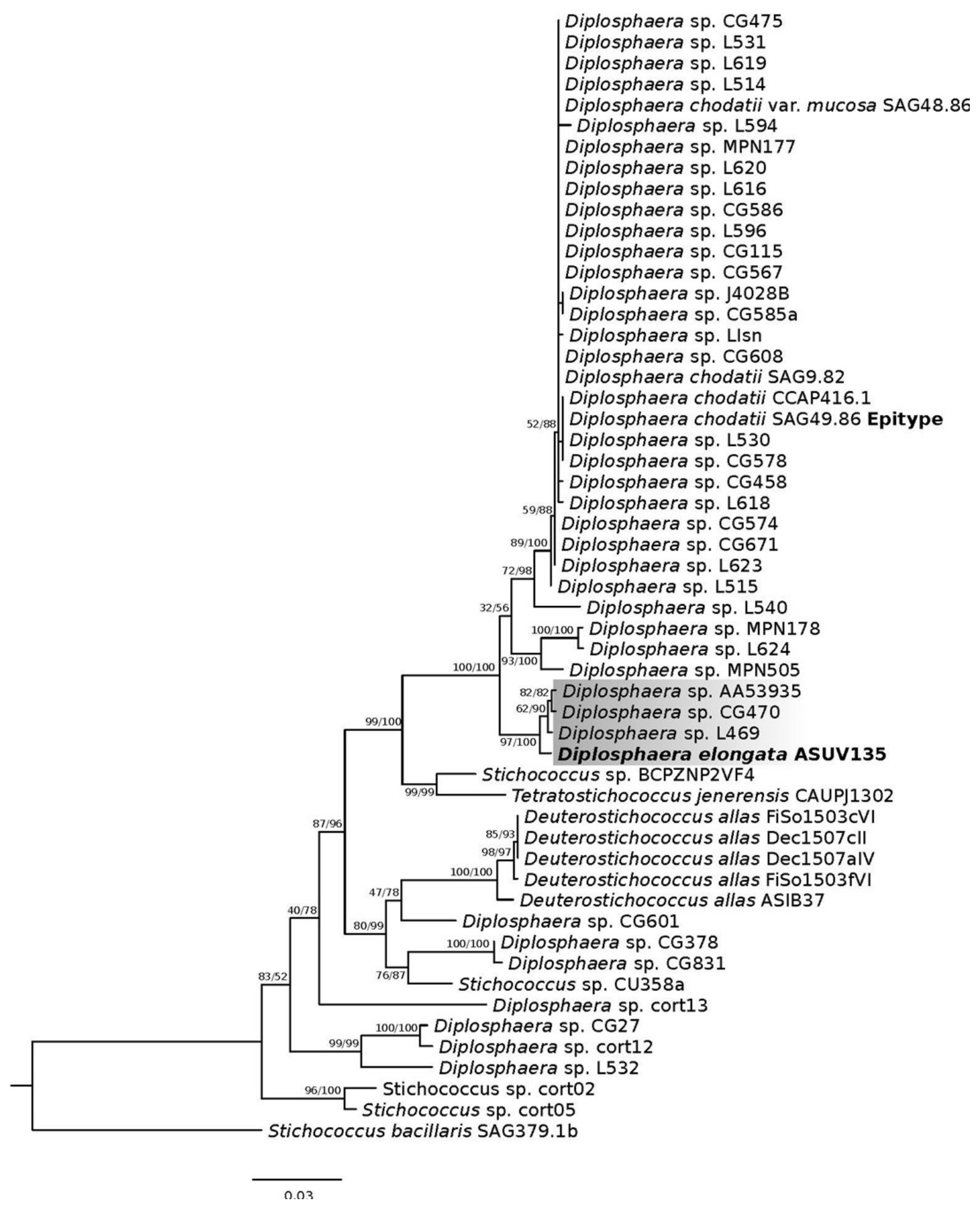 Diversity 15 00168 g004