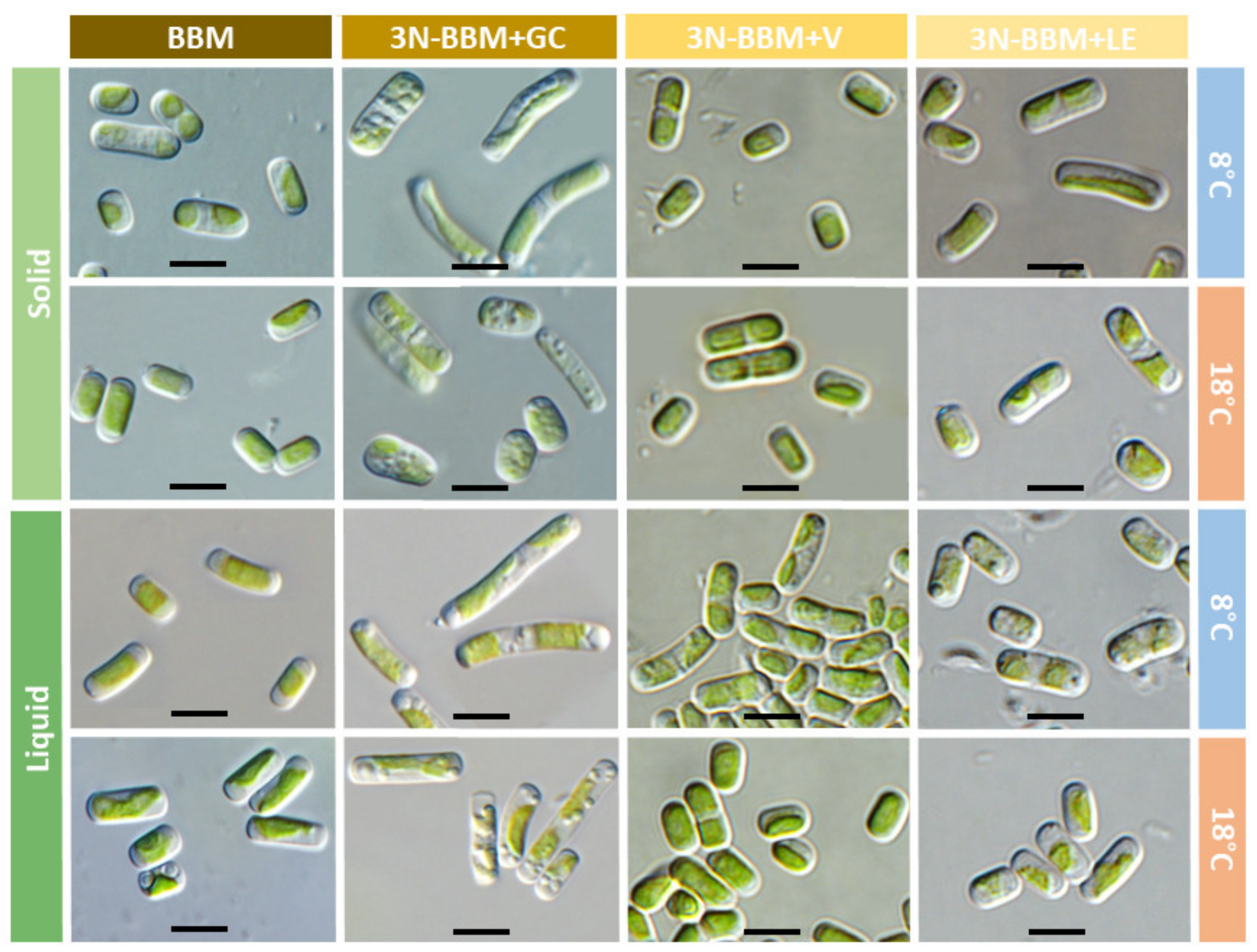 Diversity 15 00168 g005