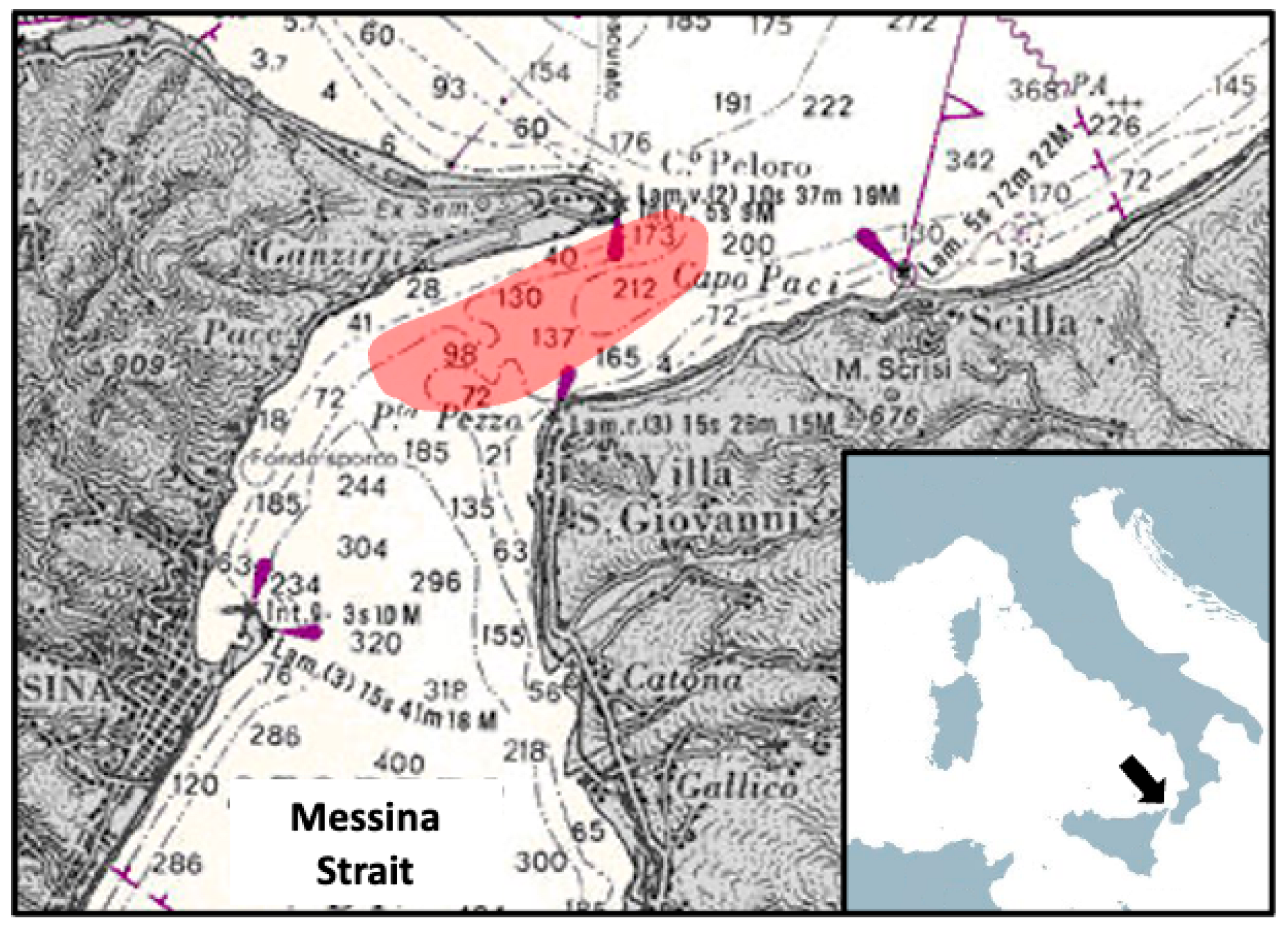 Diversity 15 00177 g001