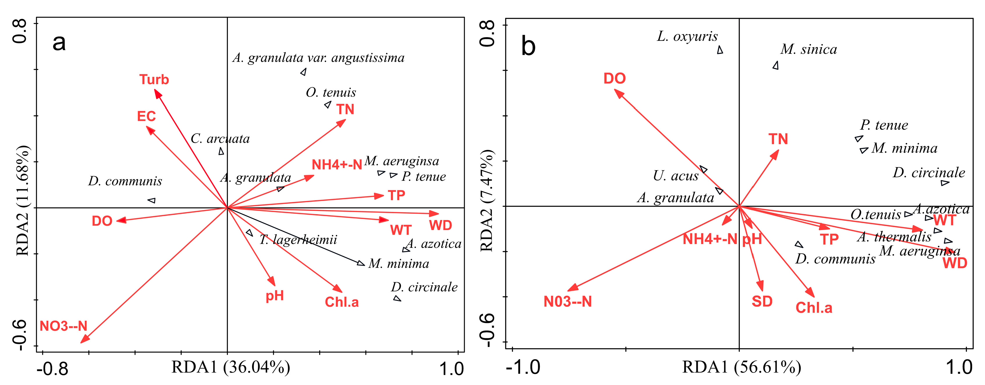 Diversity 15 00180 g005 Diversity 15 00180 g005
