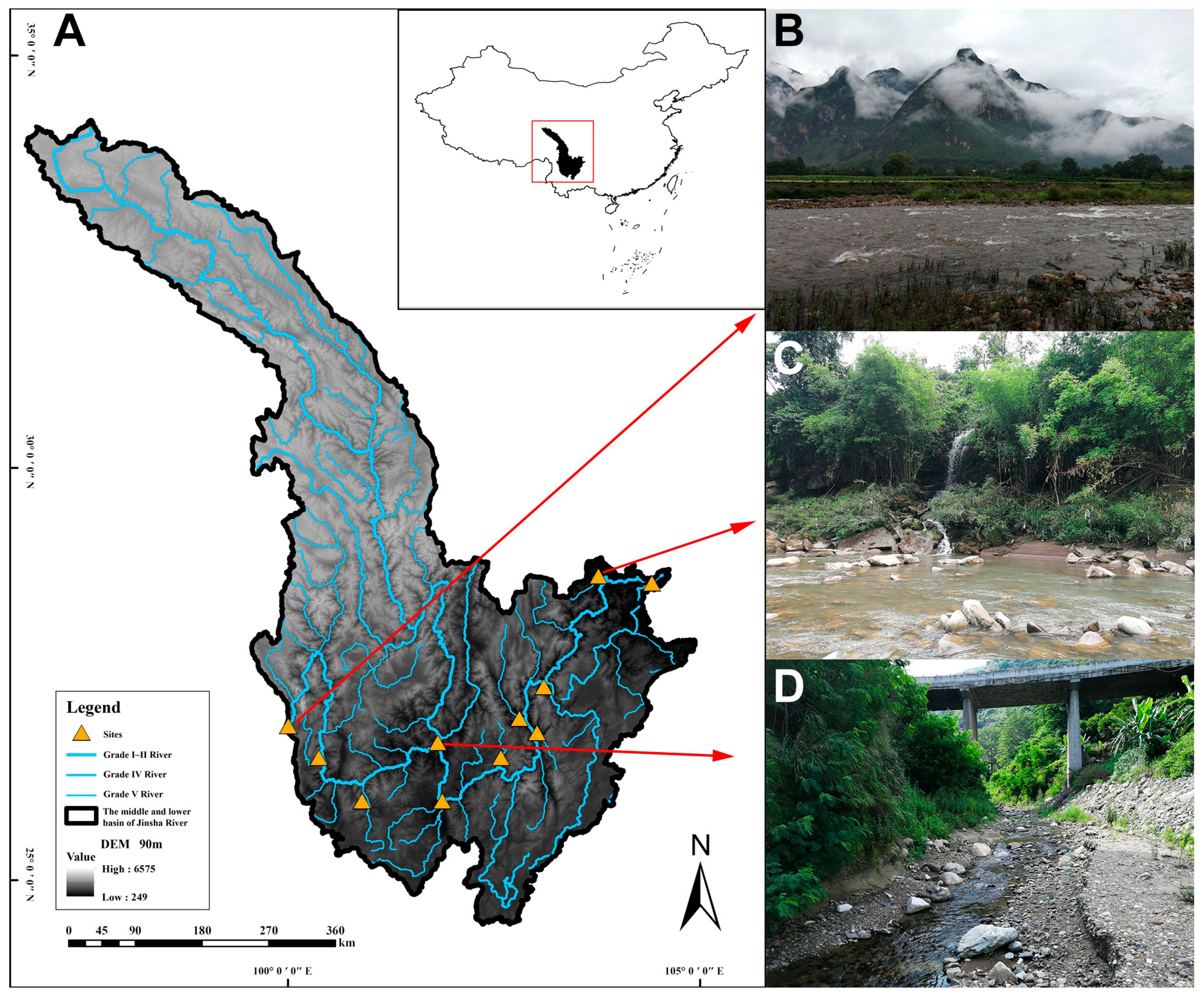 Diversity 15 00181 g001 Diversity 15 00181 g001
