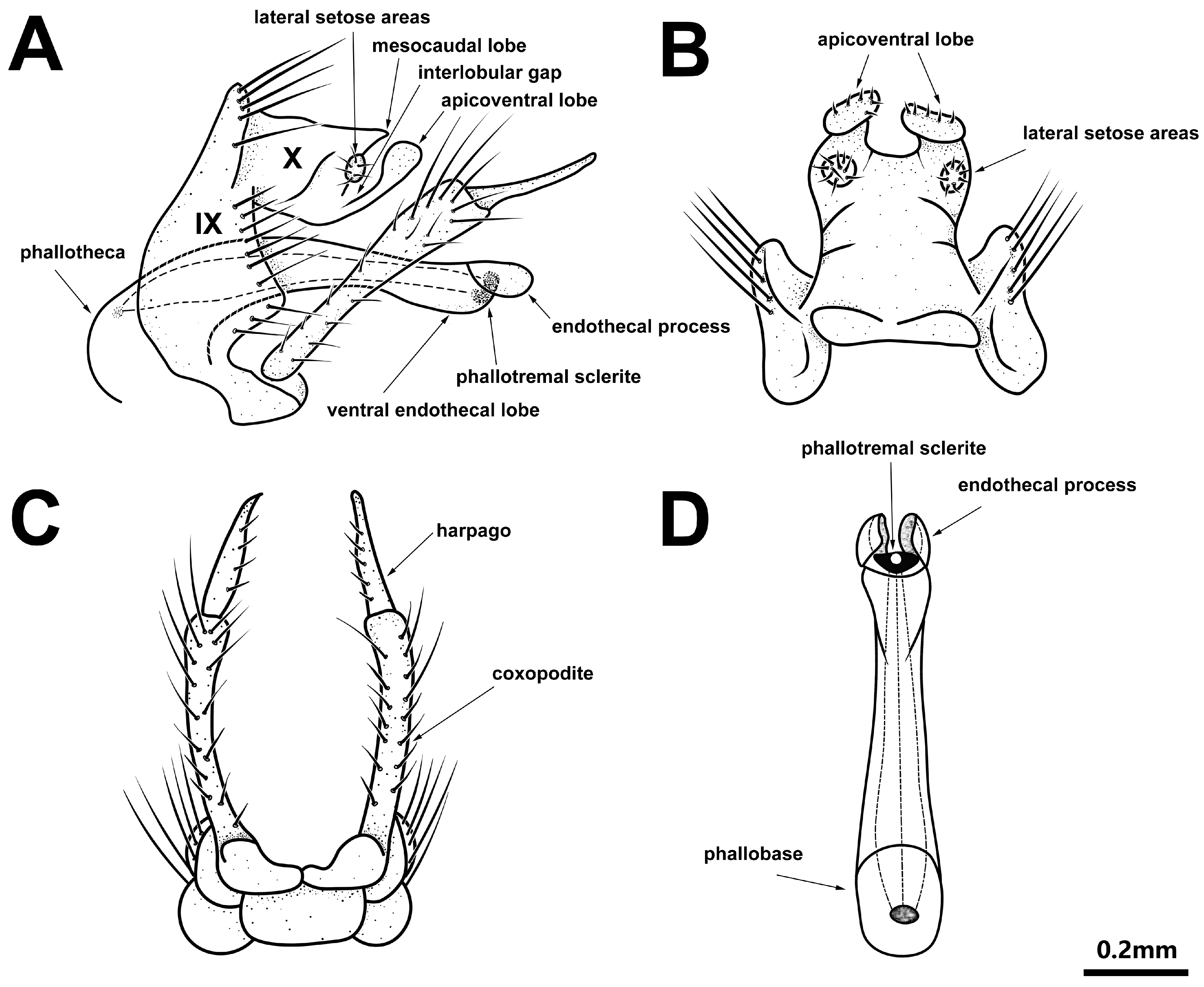 Diversity 15 00181 g002 Diversity 15 00181 g002