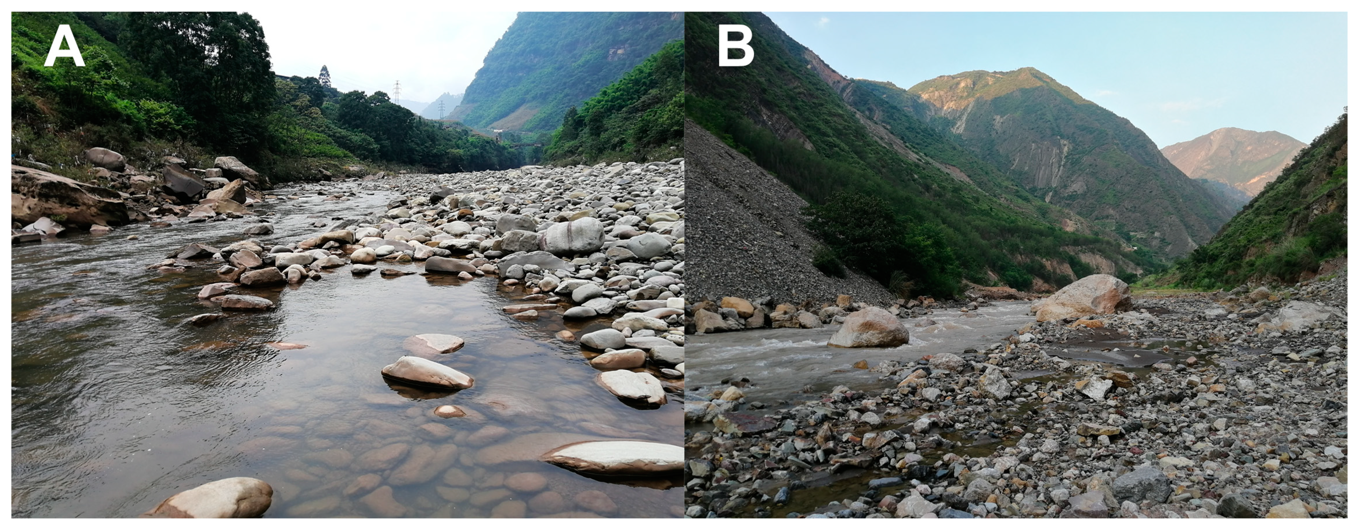 Diversity 15 00181 g003 Diversity 15 00181 g003