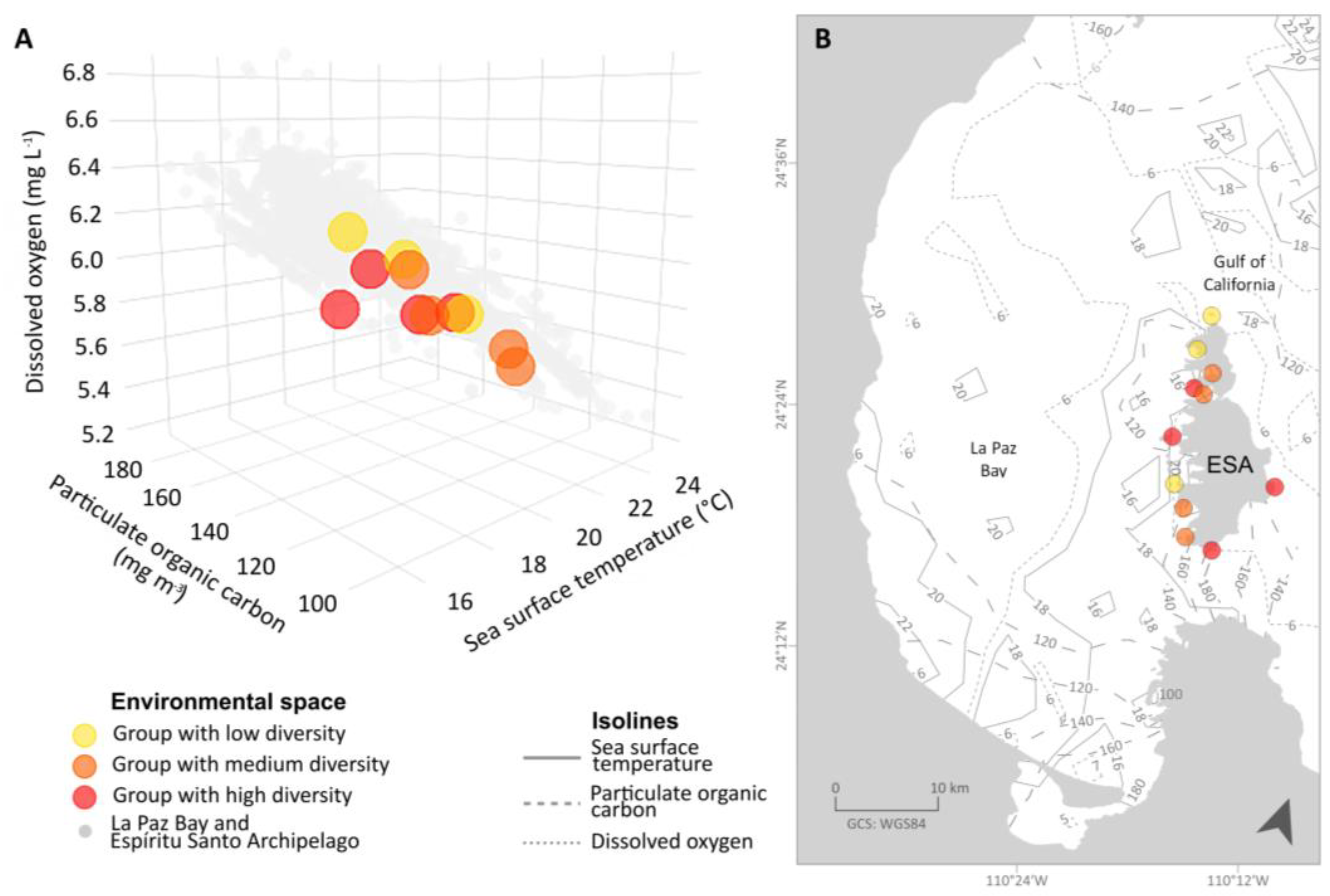 Diversity 15 00182 g005 Diversity 15 00182 g005