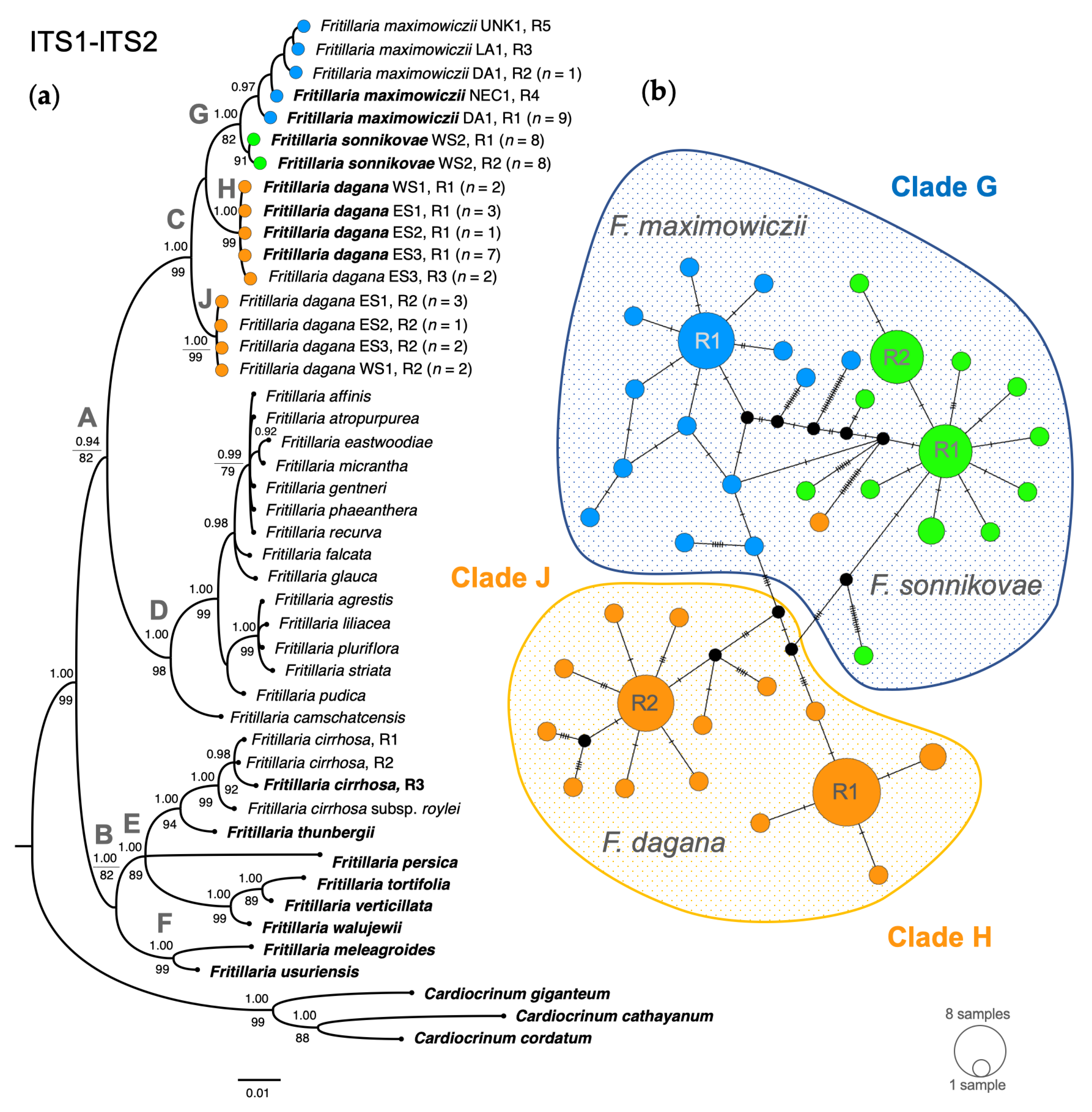 Diversity 15 00193 g002 Diversity 15 00193 g002