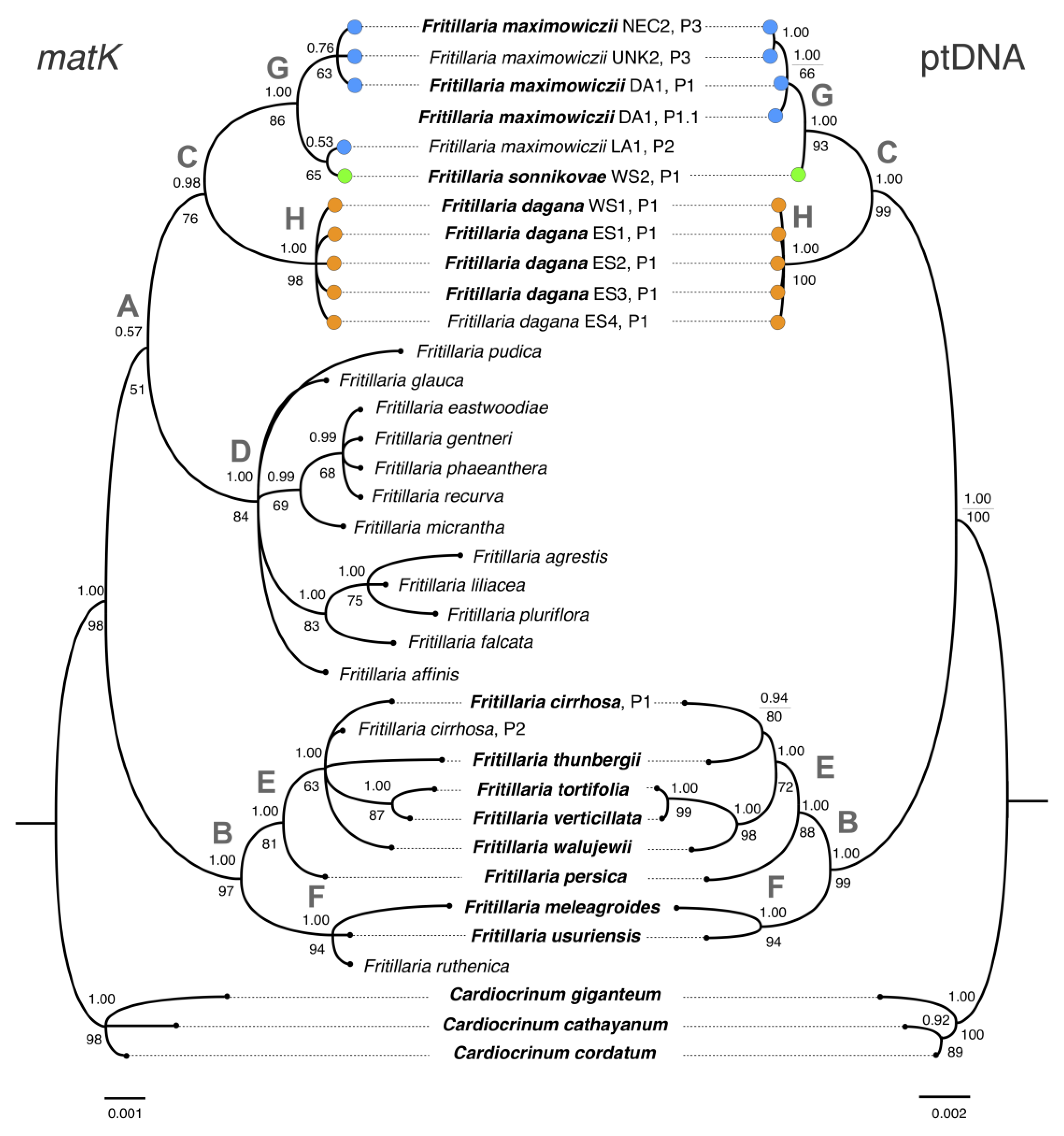 Diversity 15 00193 g004 Diversity 15 00193 g004
