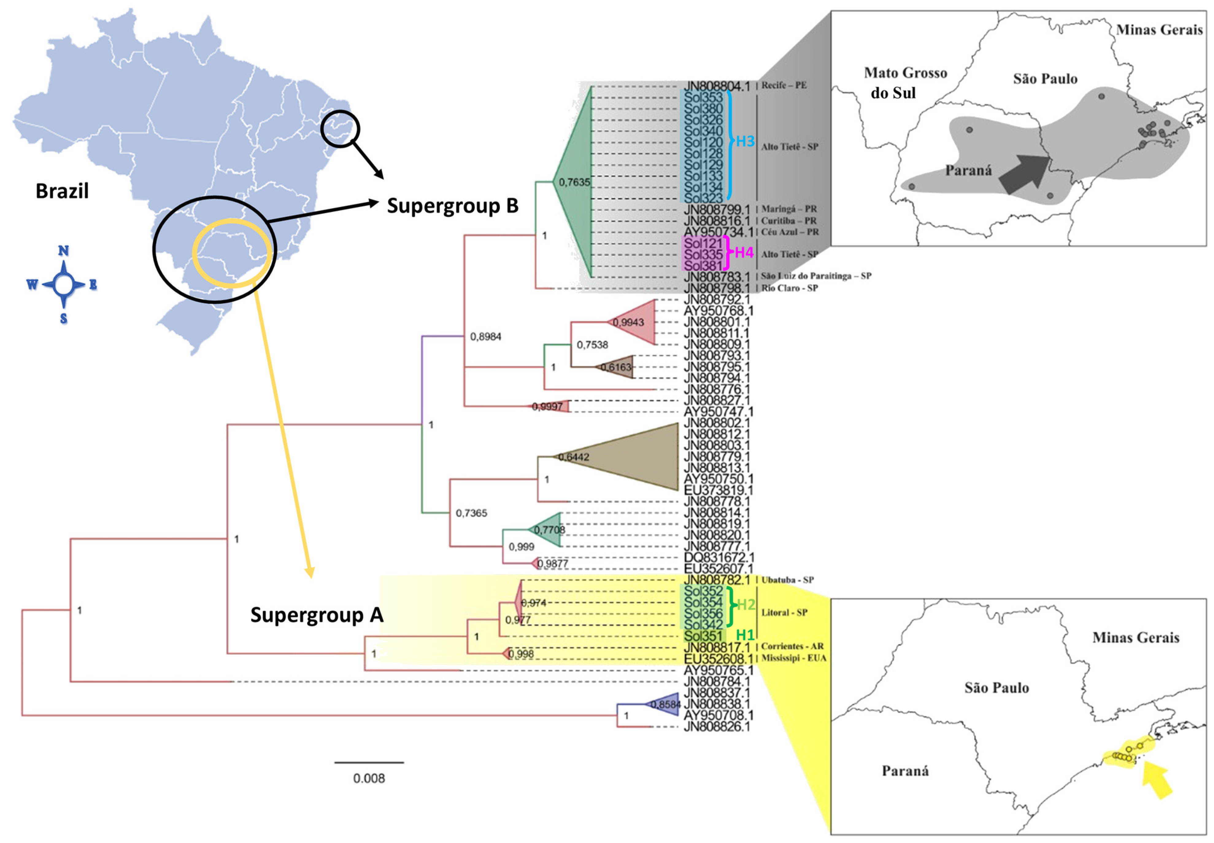Diversity 15 00194 g002