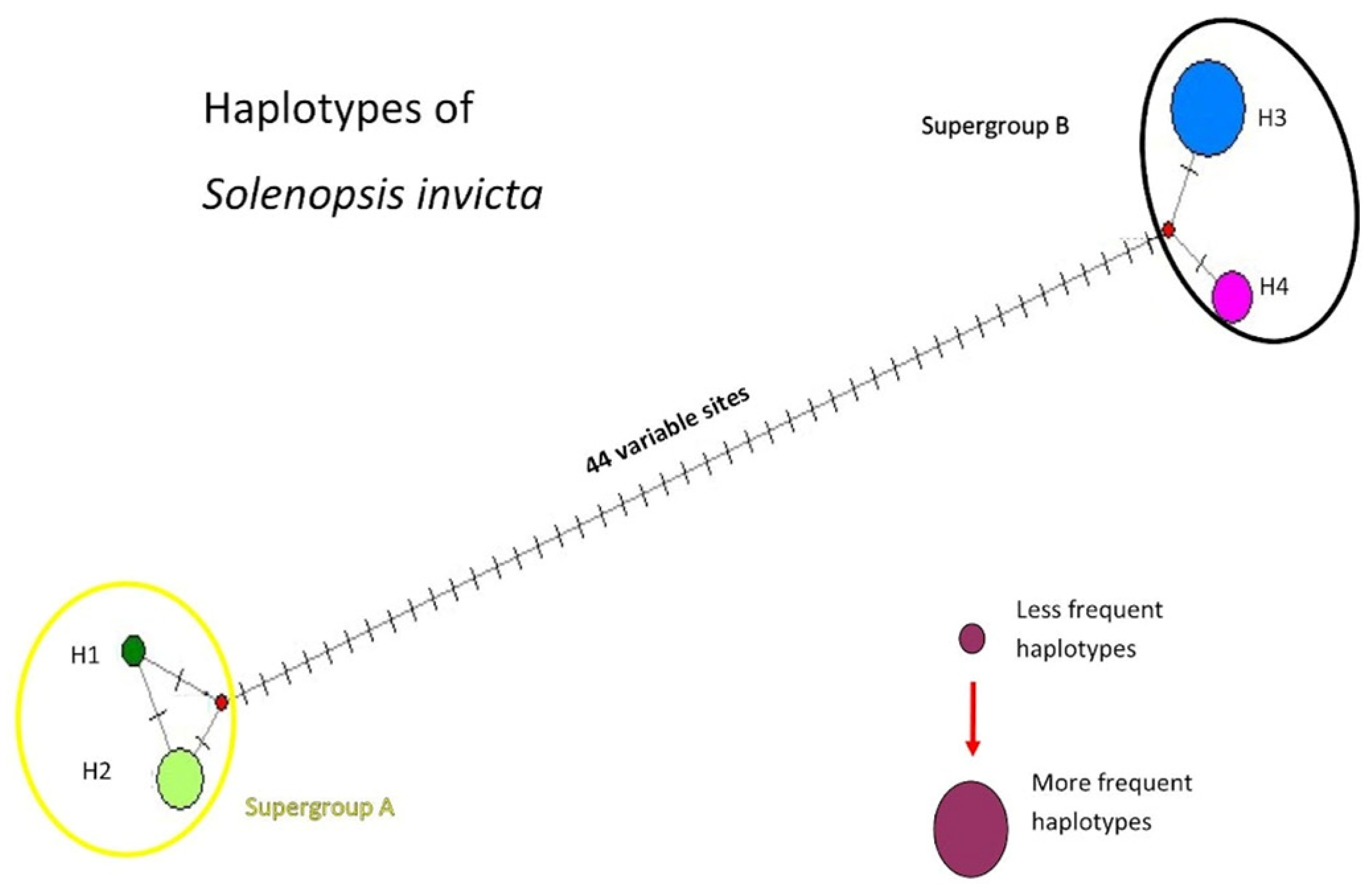 Diversity 15 00194 g003