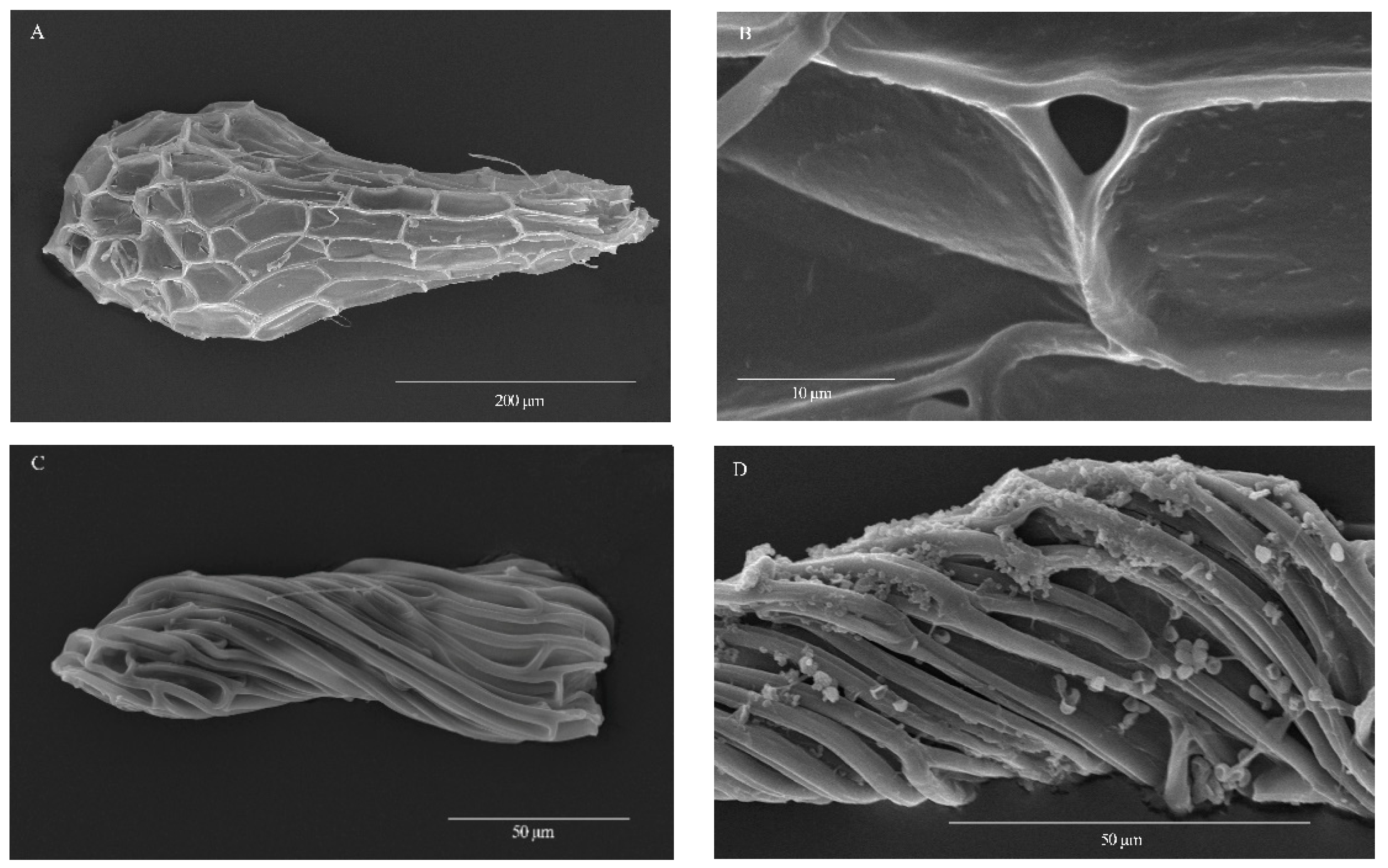 Diversity 15 00195 g002