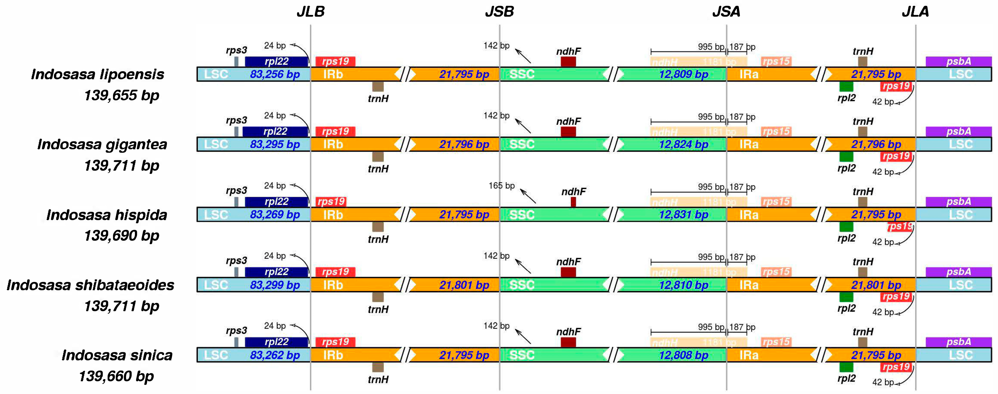 Characterization of the Plastid Genome of the Vulnerable Characterization of the Plastid Genome of the Vulnerable