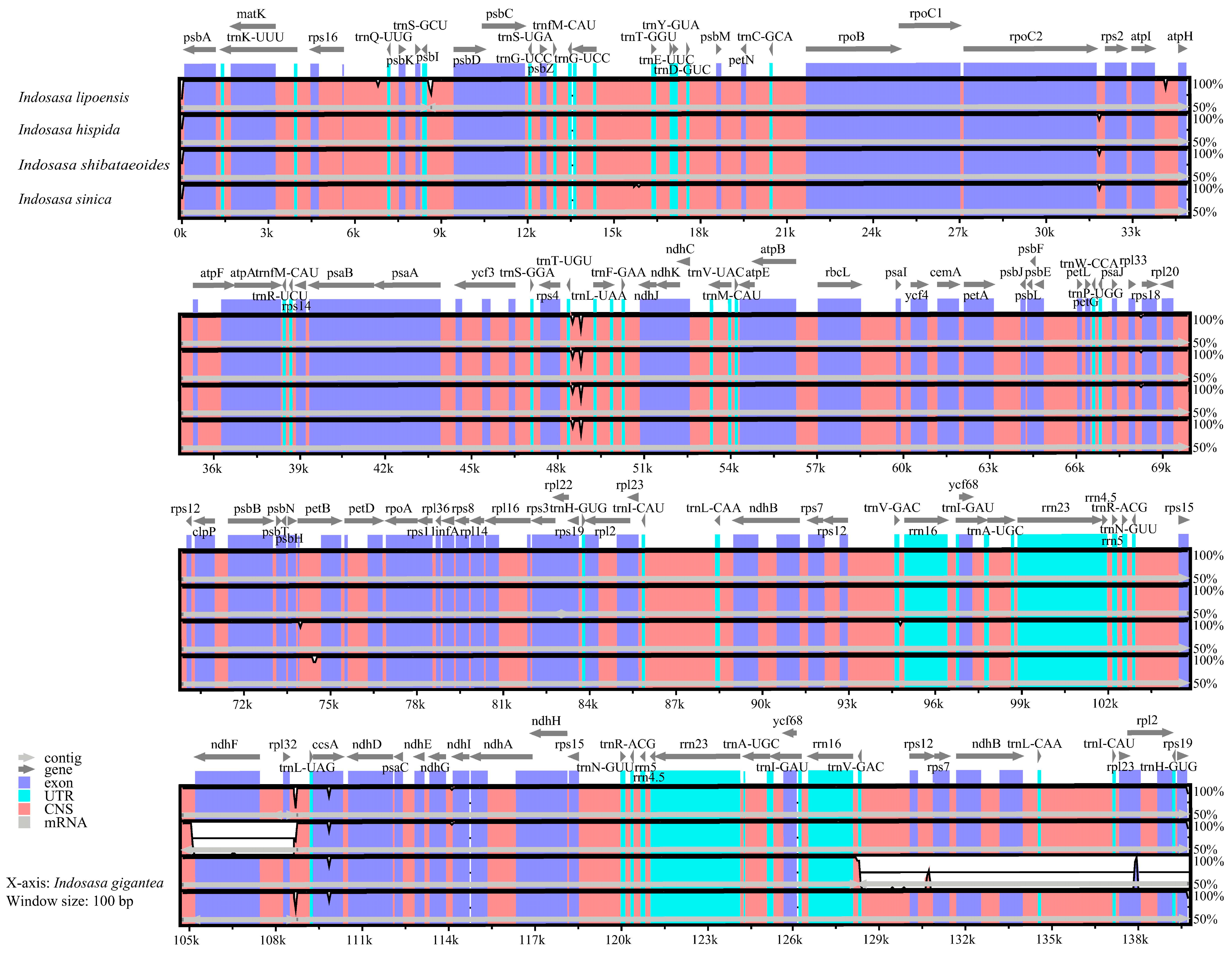 Diversity 15 00197 g006