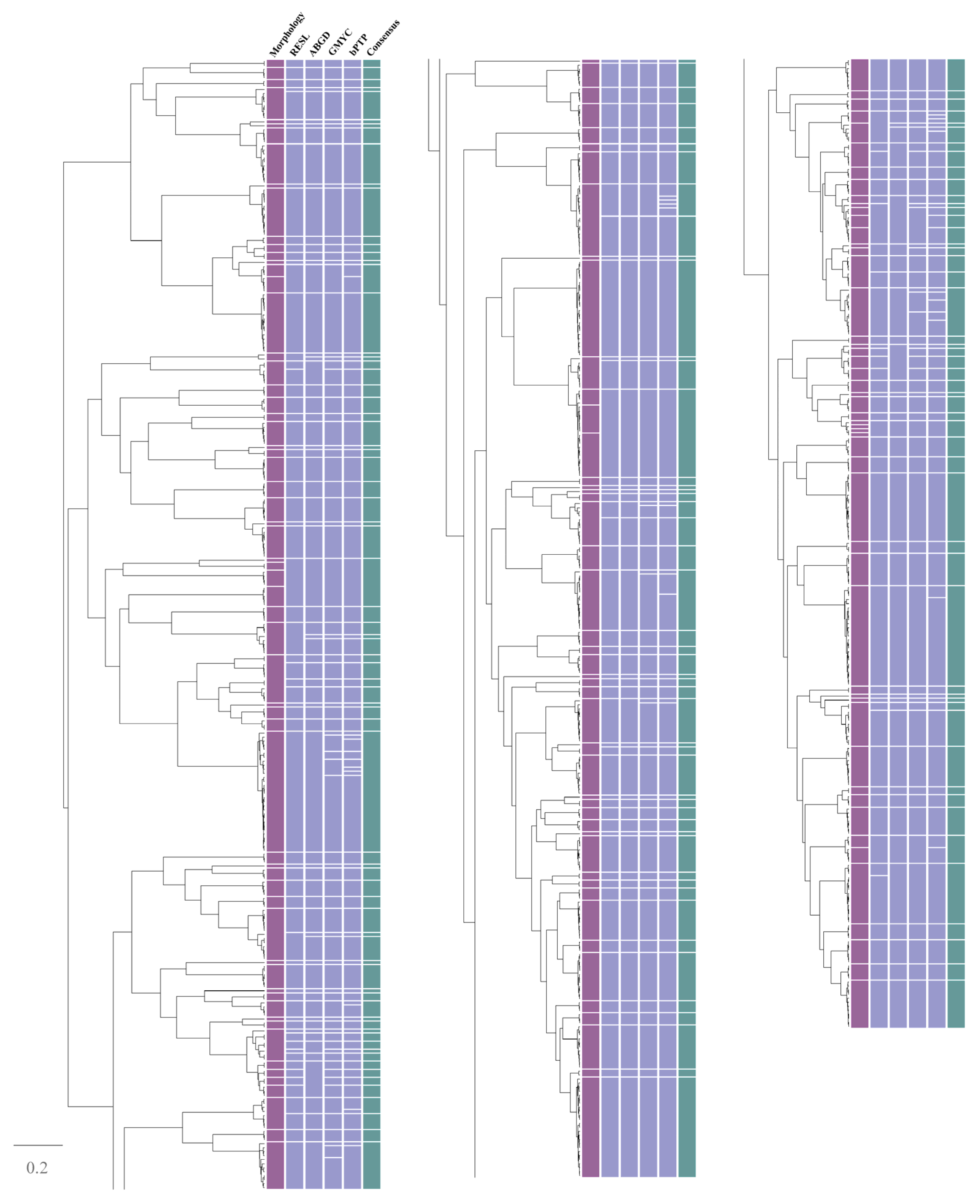 Diversity 15 00203 g003