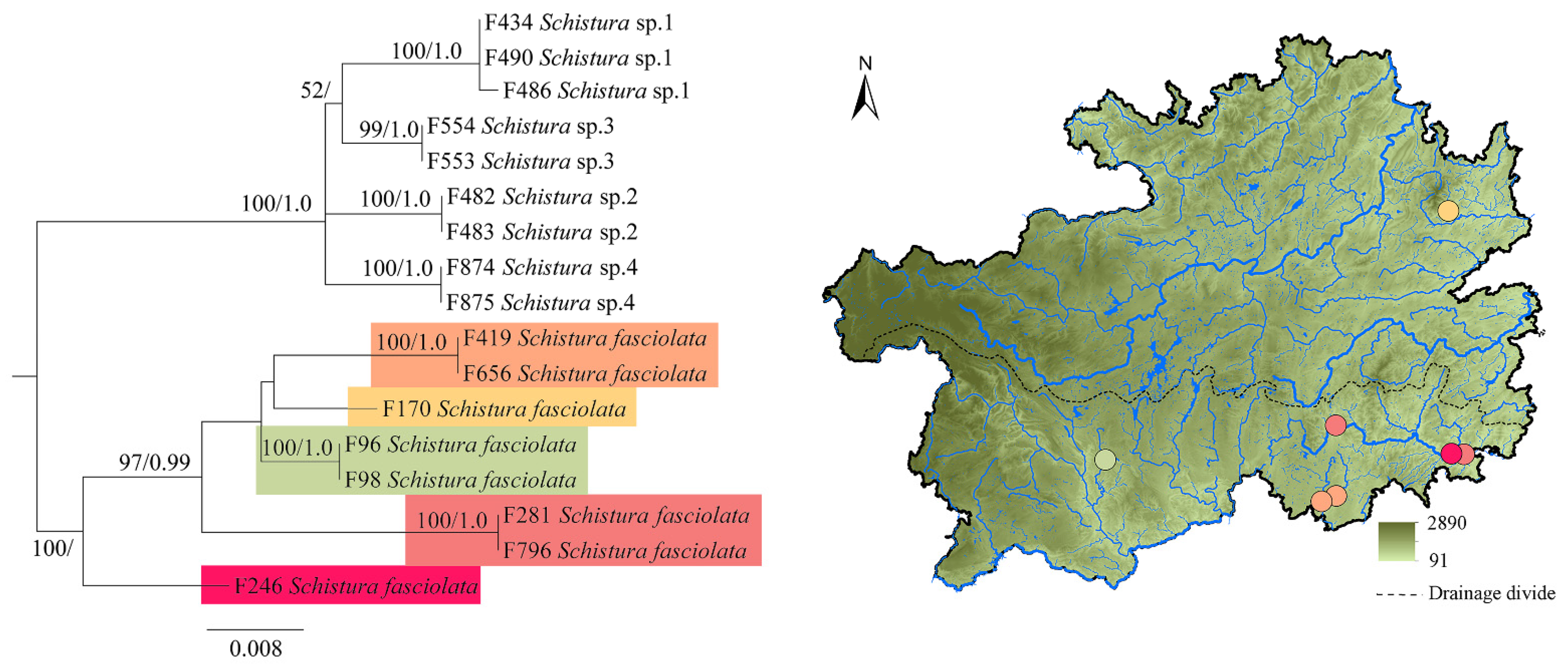 Diversity 15 00203 g004