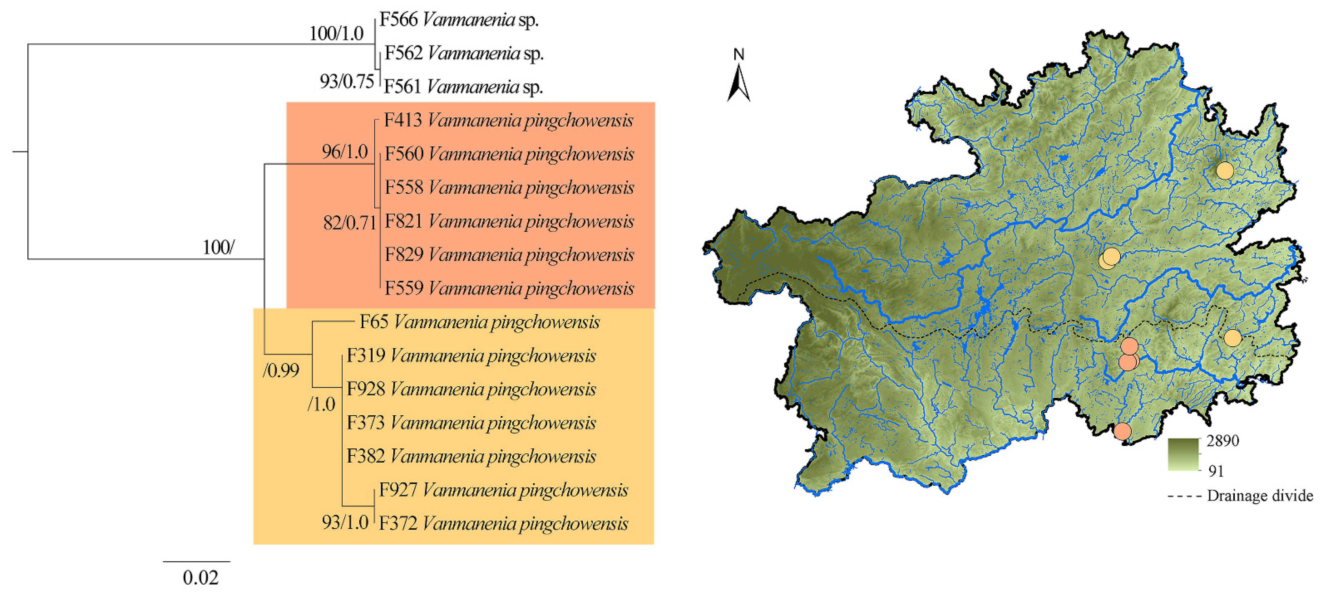 Diversity 15 00203 g005
