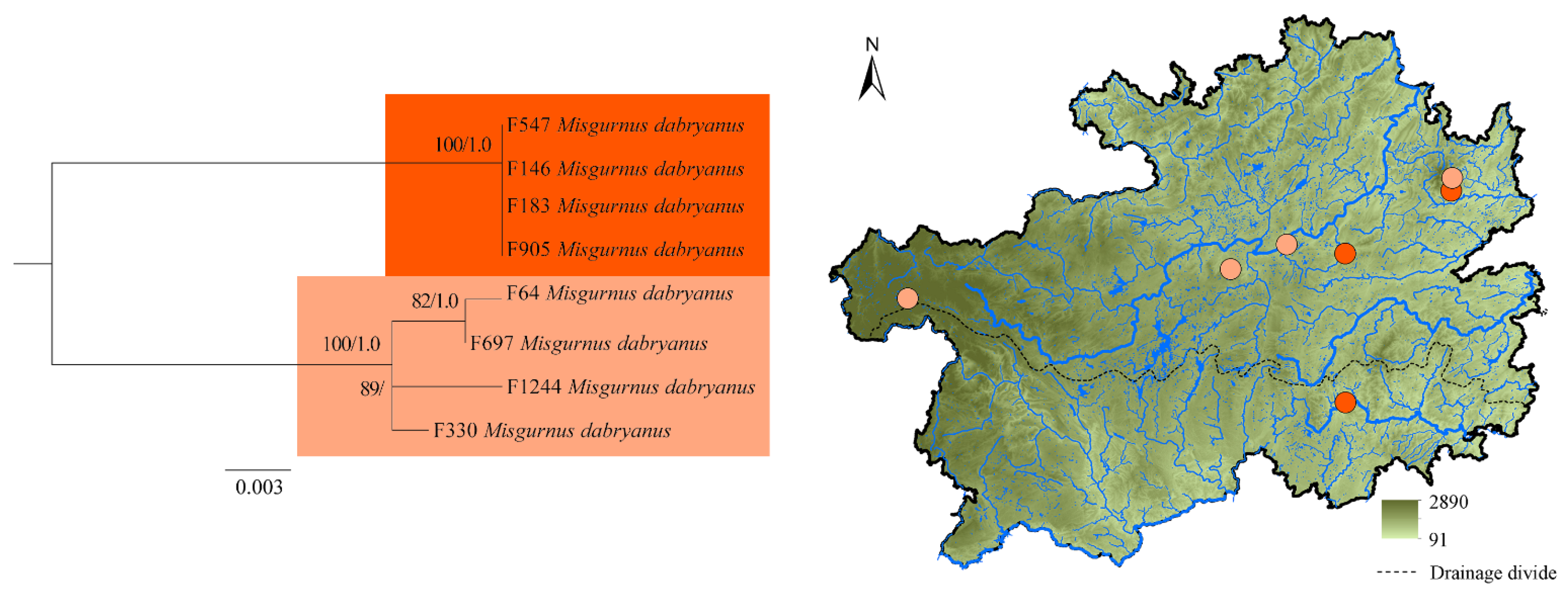 Diversity 15 00203 g006