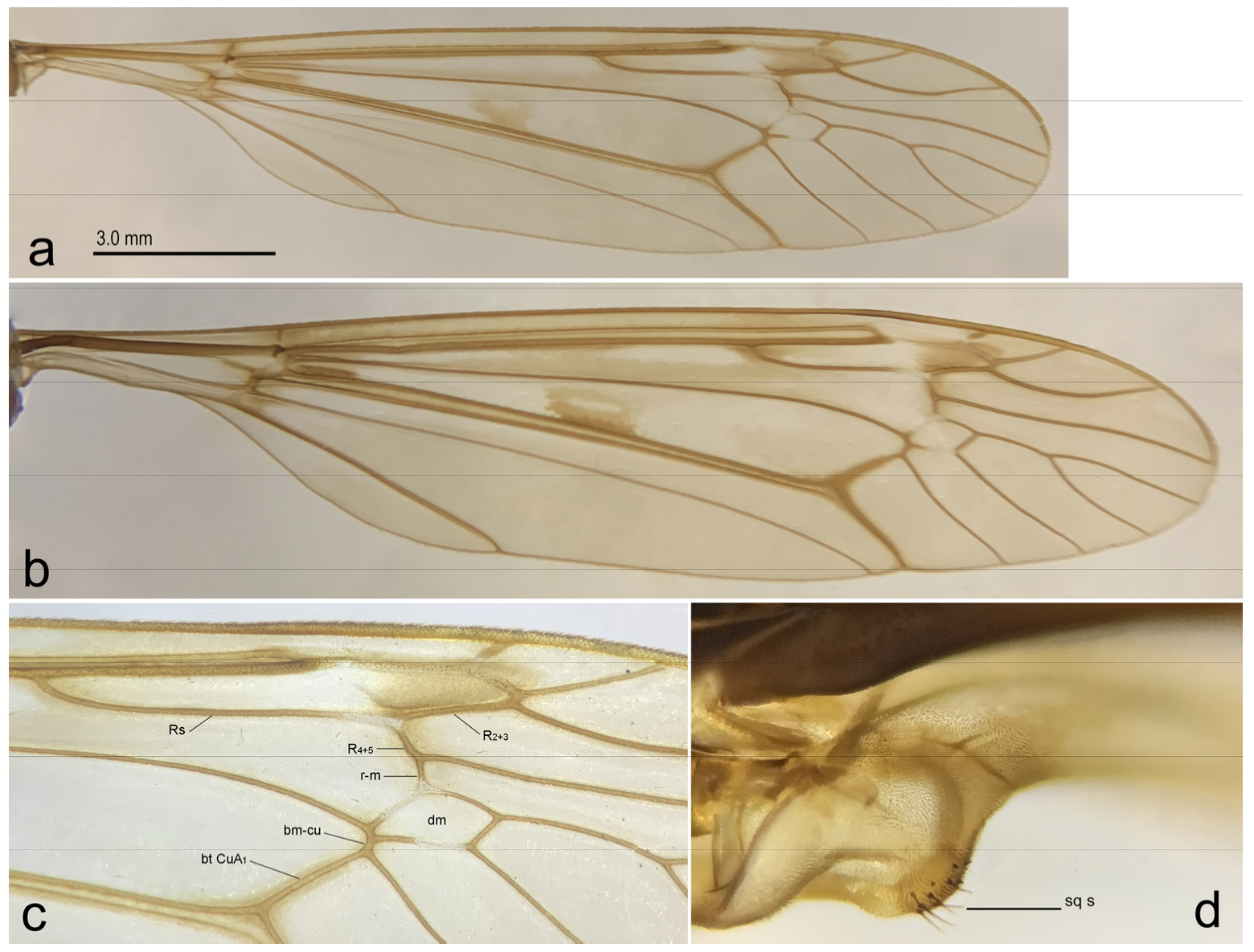 Diversity 15 00204 g008