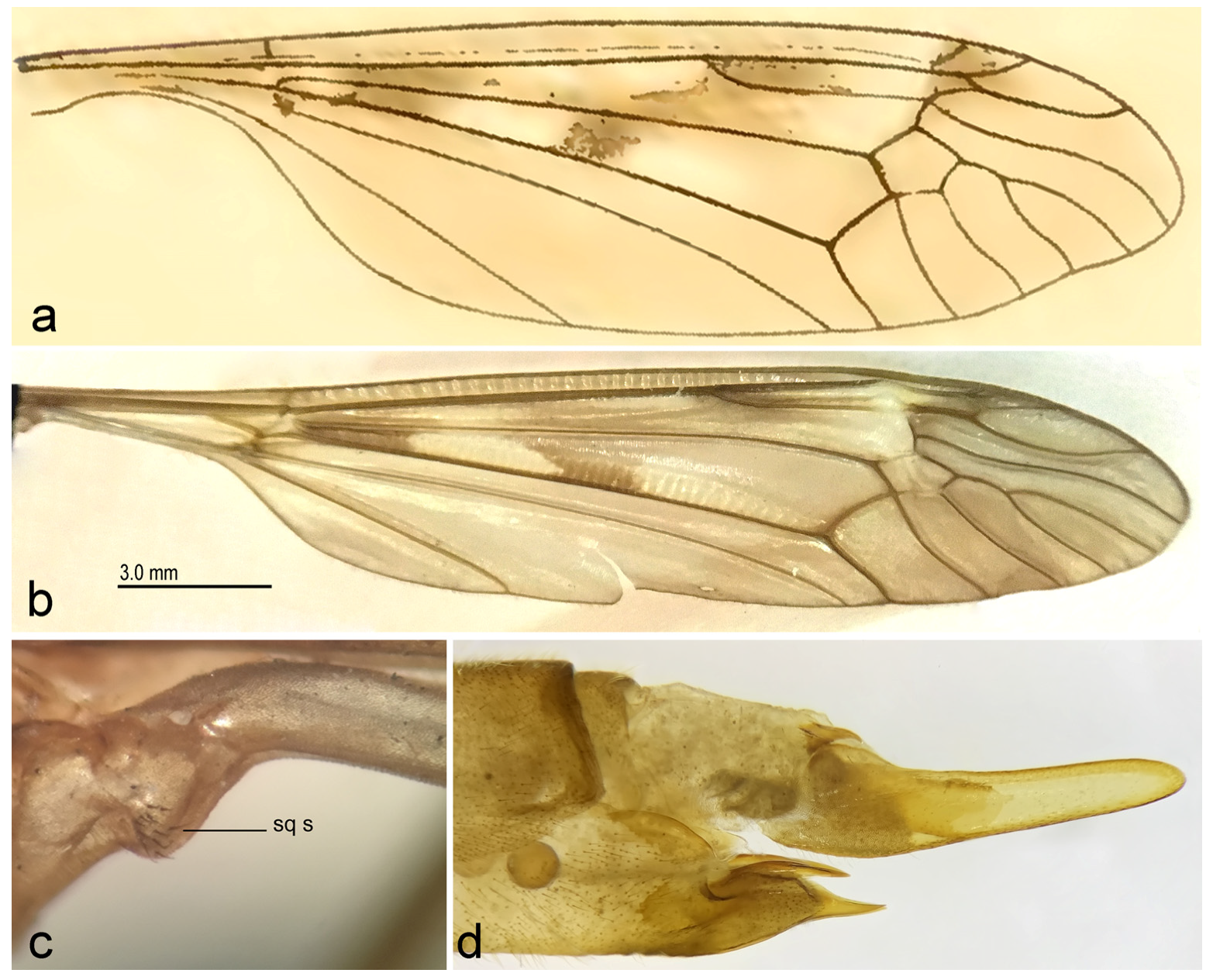 Diversity 15 00204 g012