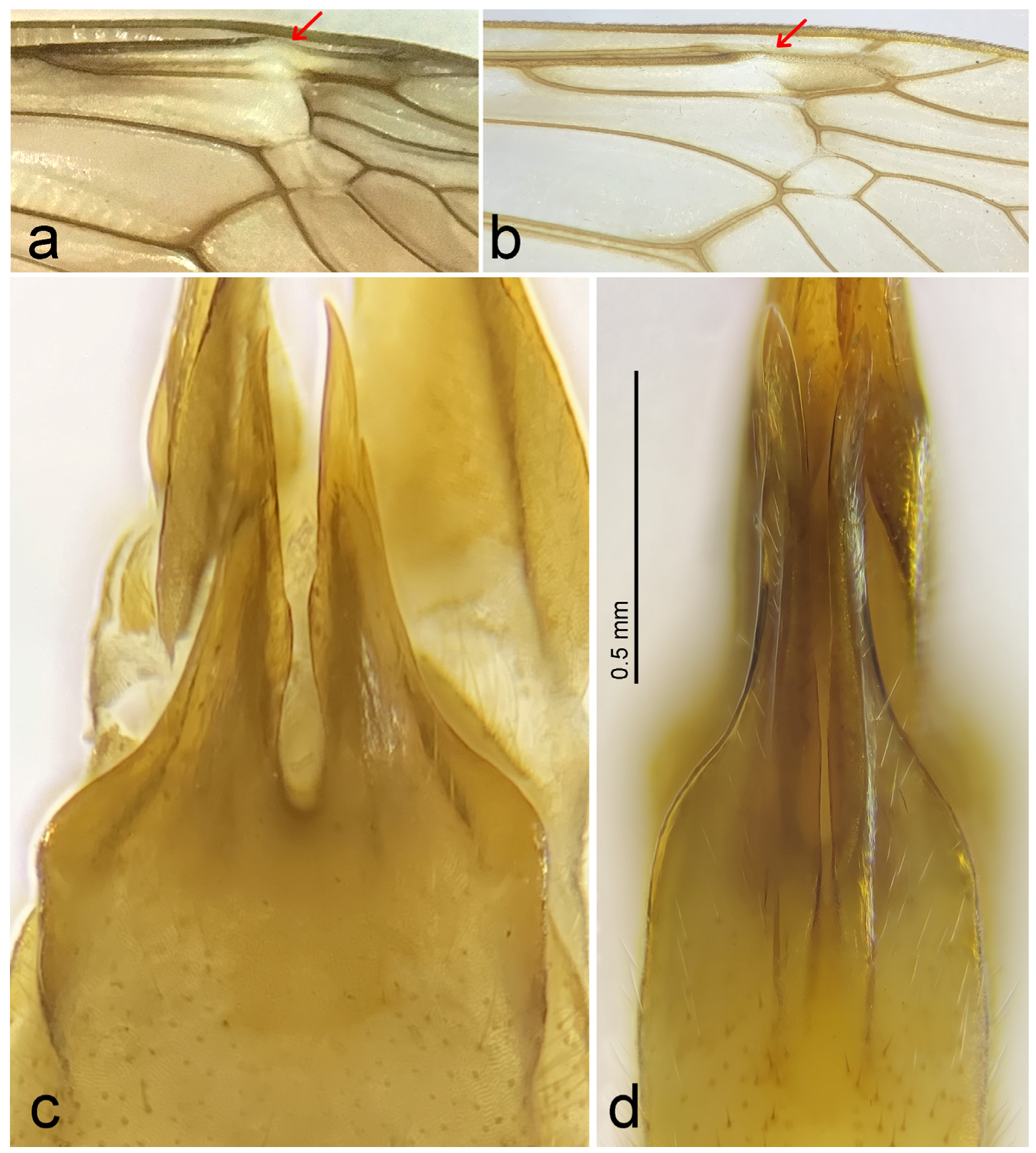 Diversity 15 00204 g013