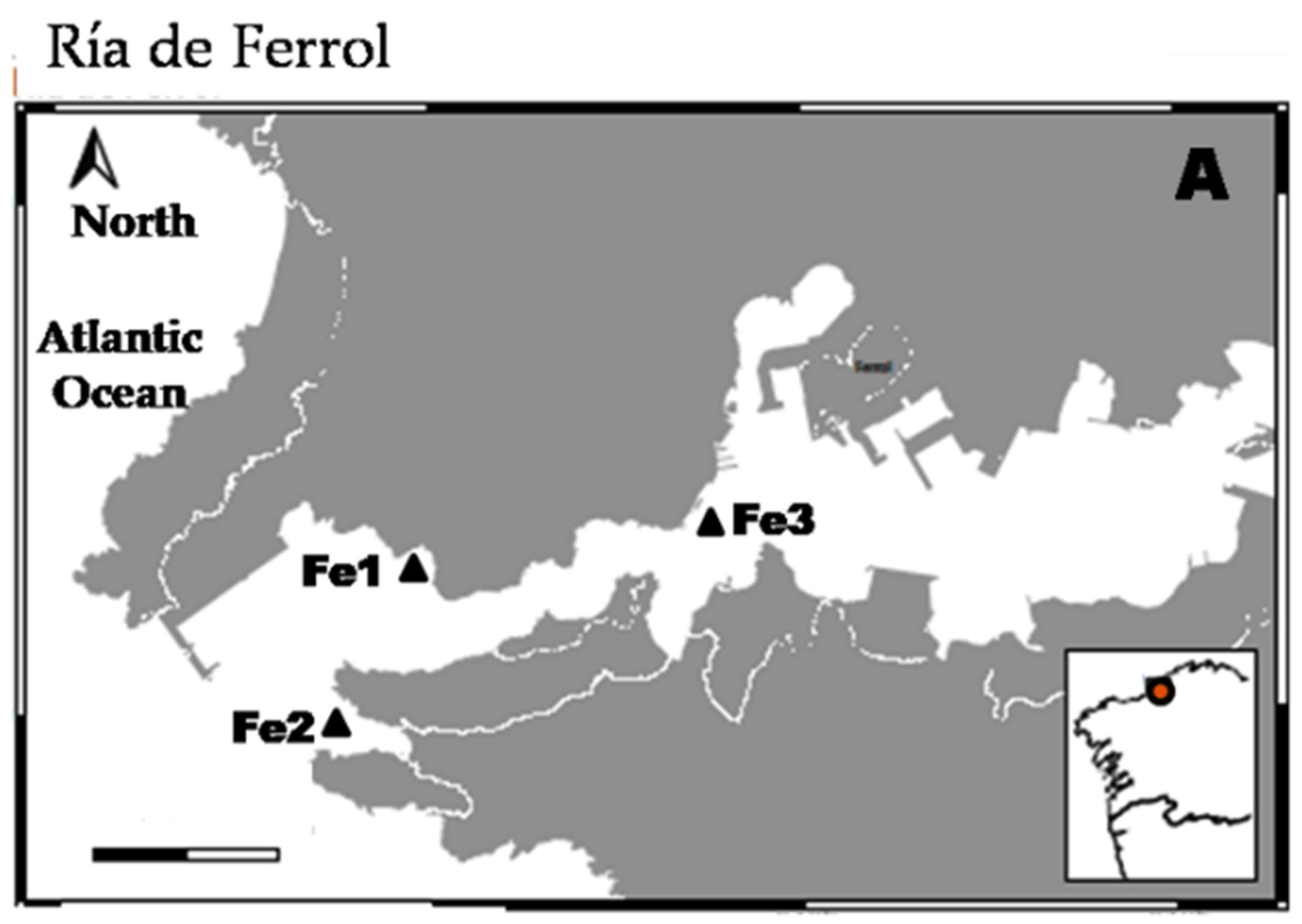 Diversity 15 00210 g001a