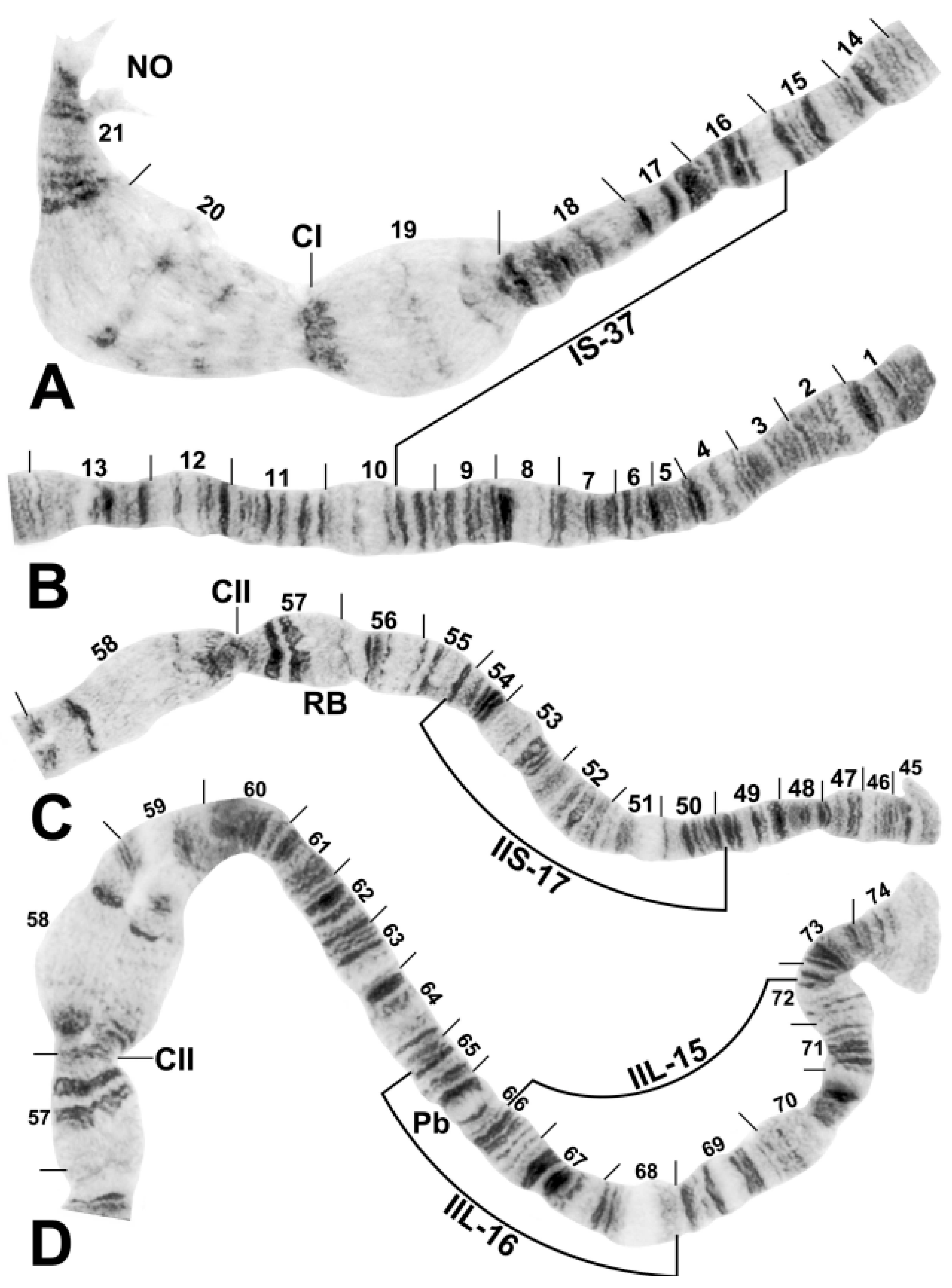 Diversity 15 00212 g002 550