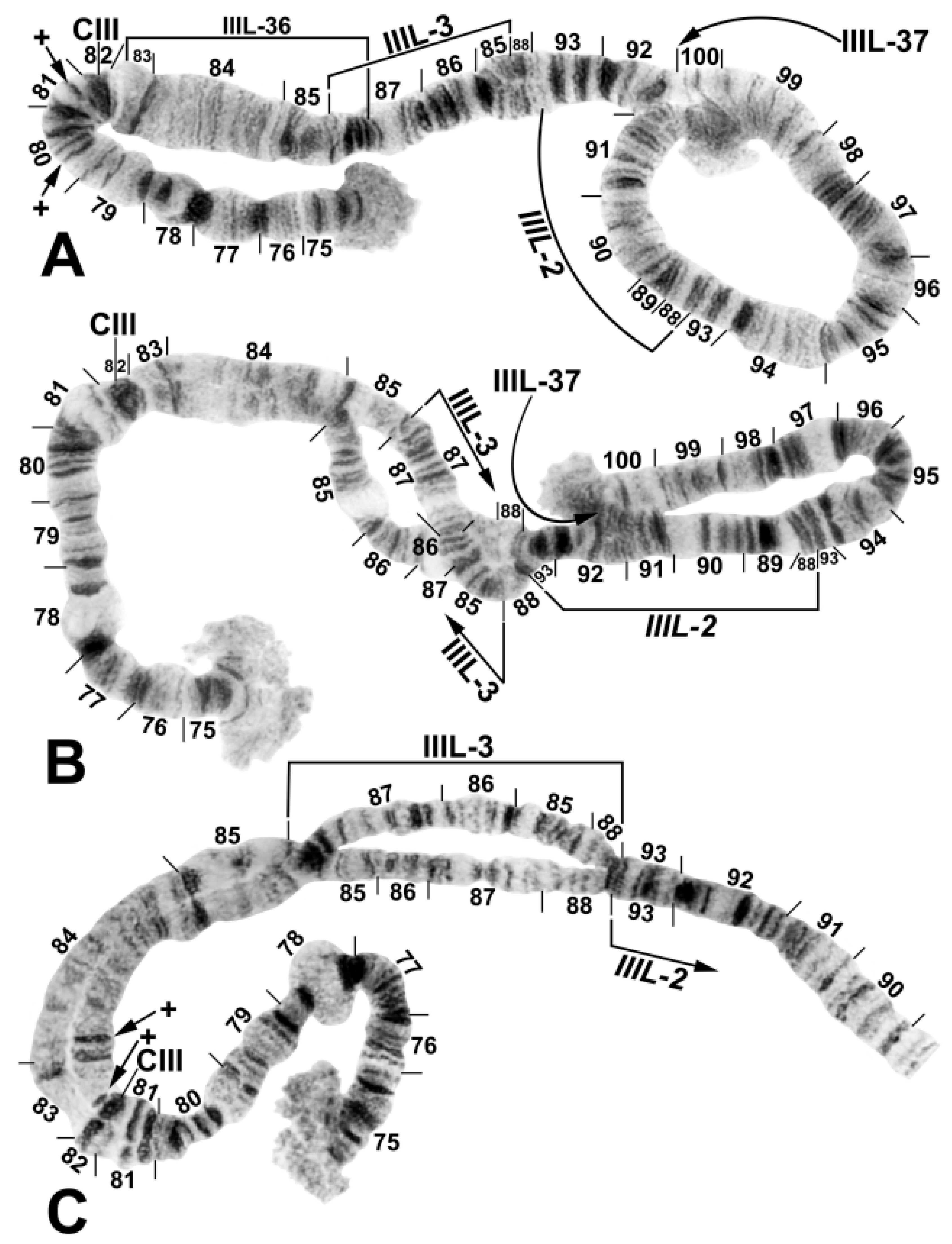 Diversity 15 00212 g003 550