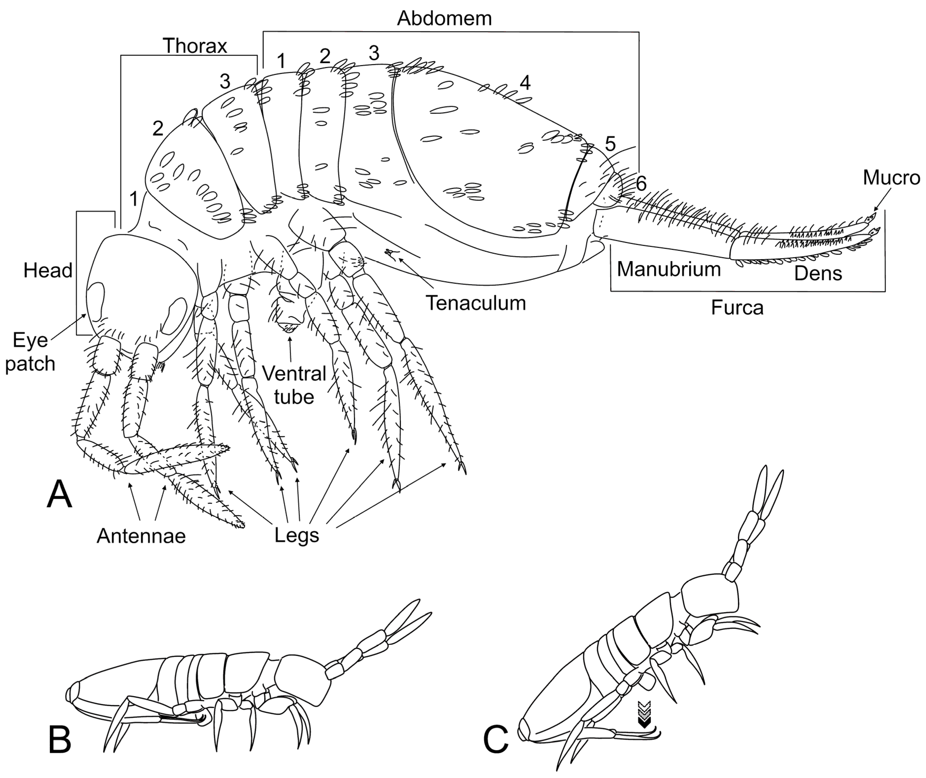 Diversity 15 00221 g001 Diversity 15 00221 g001