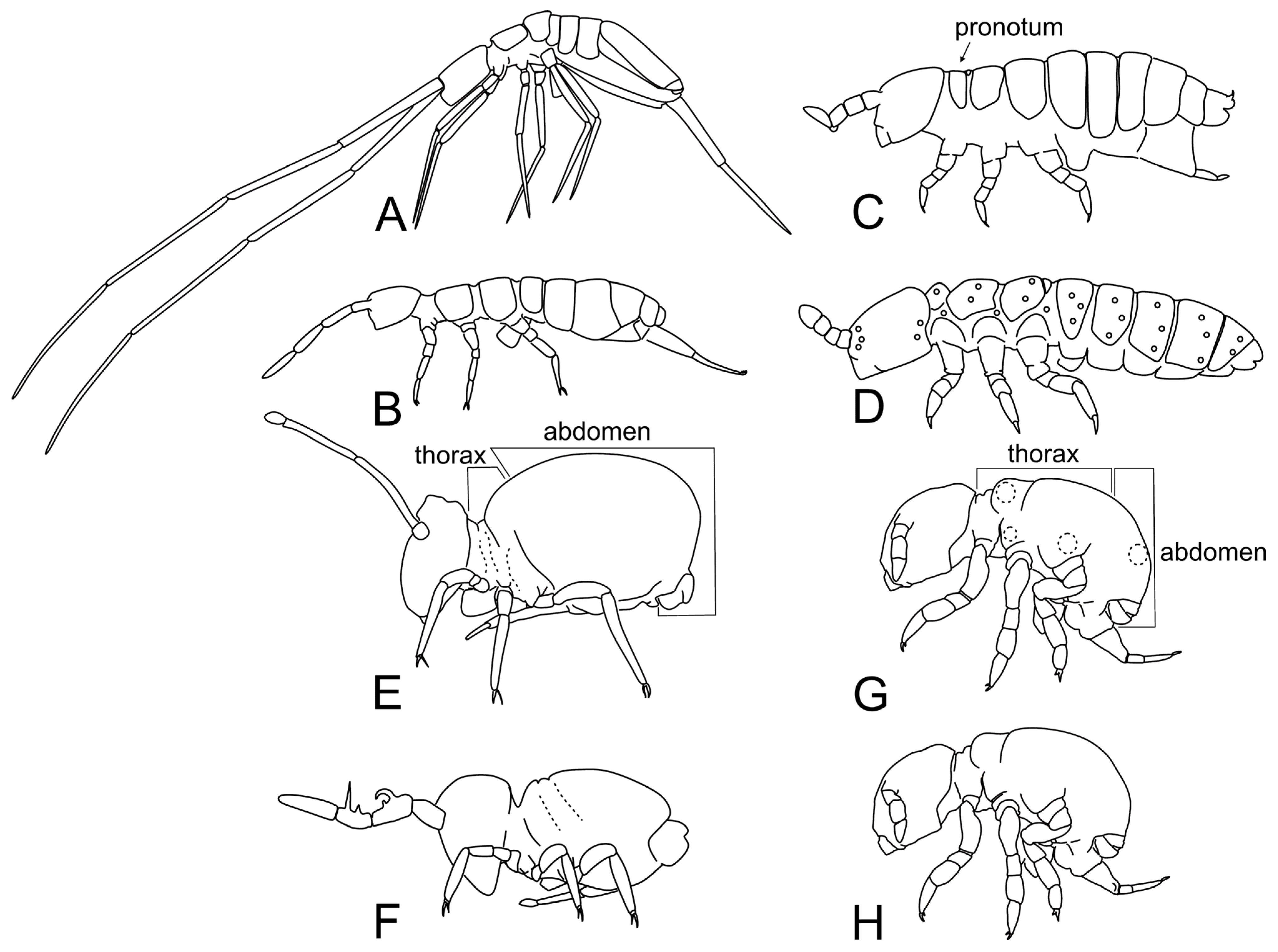 Diversity 15 00221 g002 Diversity 15 00221 g002